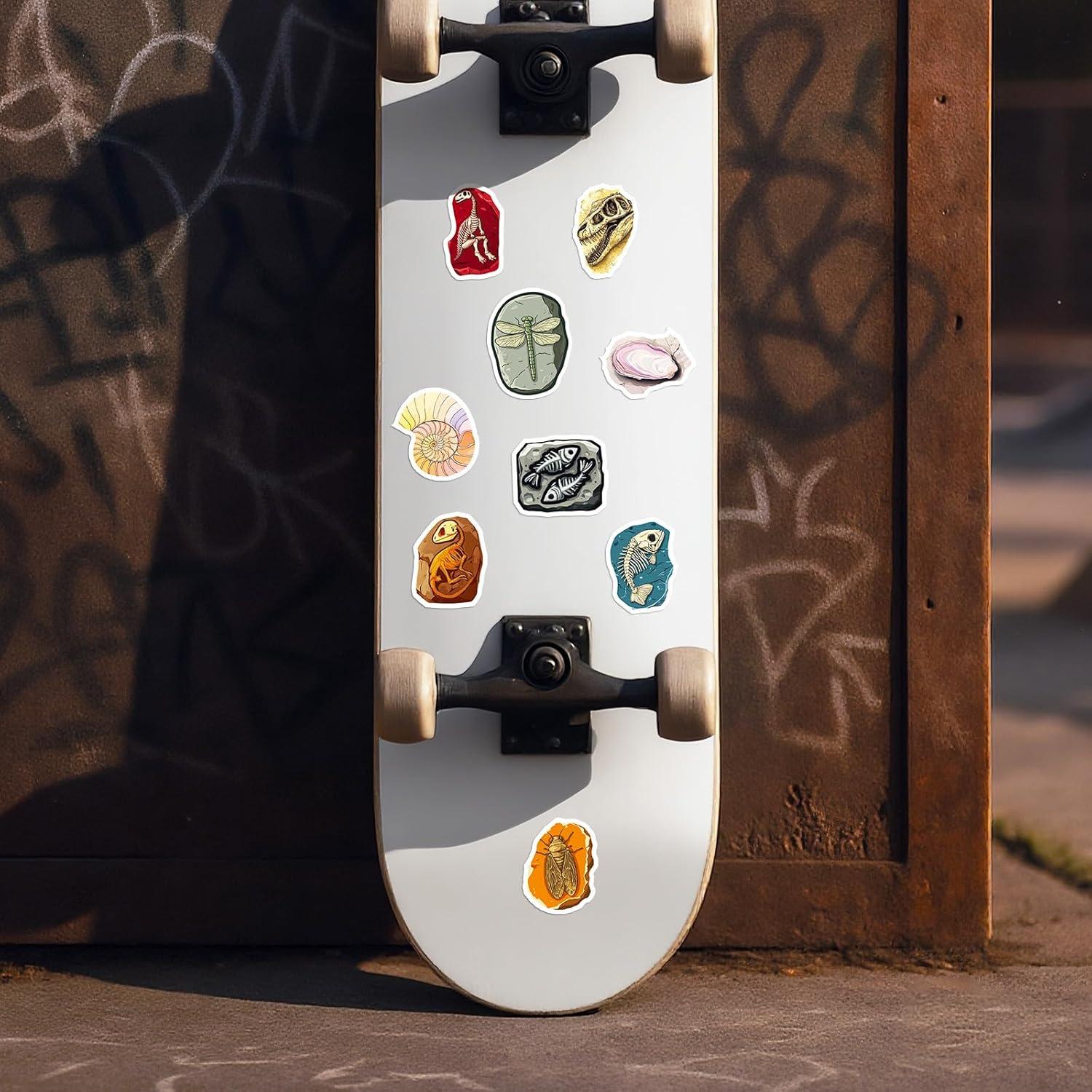 50 Calcomanías de Fósiles RGBEE - Vinilo Impermeable 3.81-5.08cm