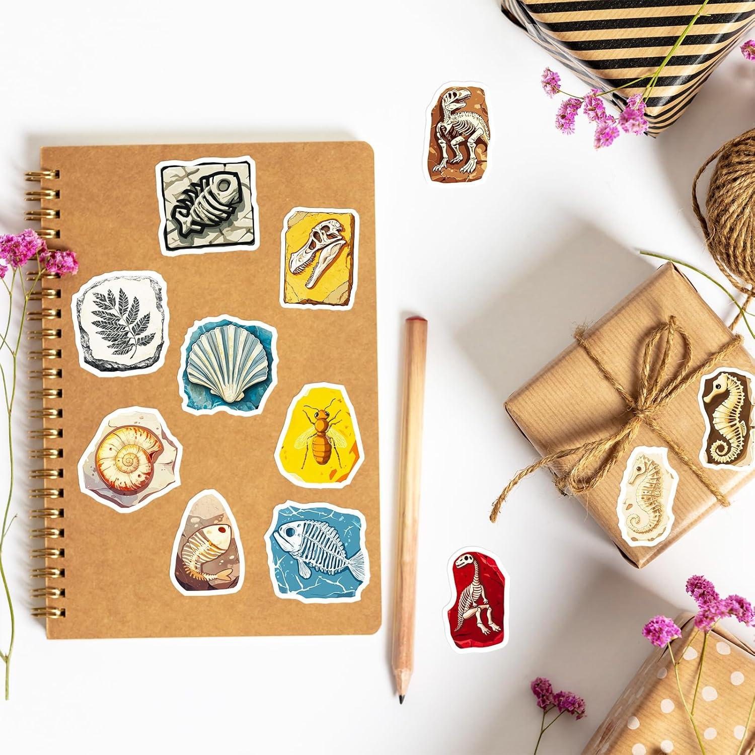 50 Calcomanías de Fósiles RGBEE - Vinilo Impermeable 3.81-5.08cm