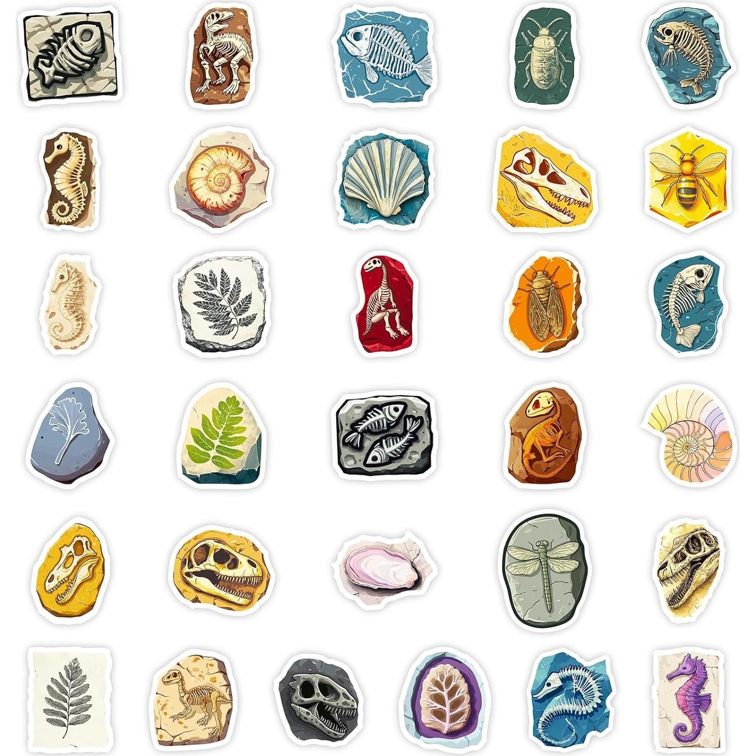50 Calcomanías de Fósiles RGBEE - Vinilo Impermeable 3.81-5.08cm