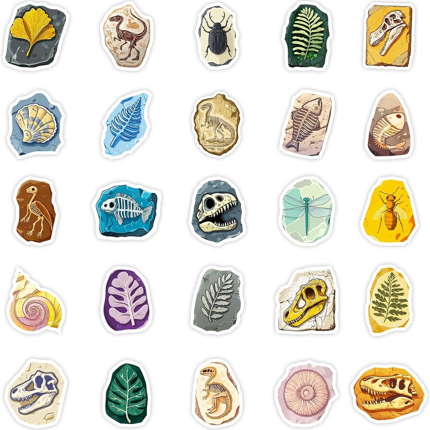 50 Calcomanías de Fósiles RGBEE - Vinilo Impermeable 3.81-5.08cm