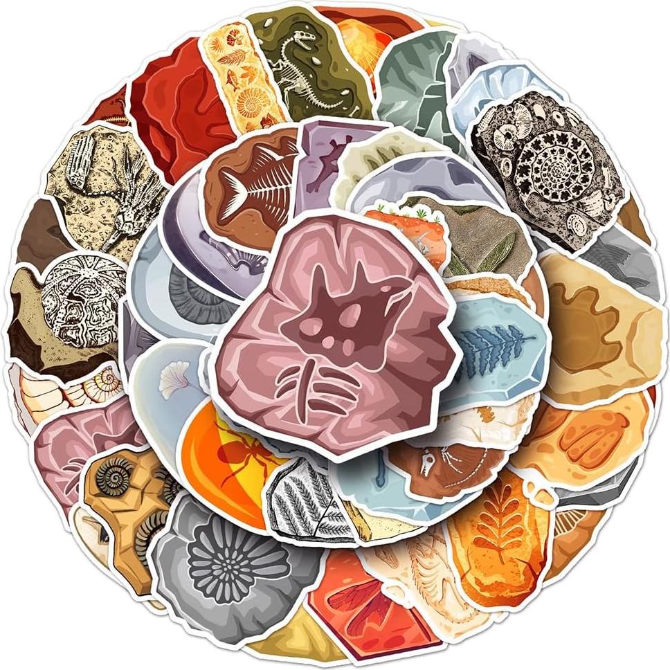 Calcomanías de Vinilo Impermeables LIFEPAL - 50 Pcs Fossil