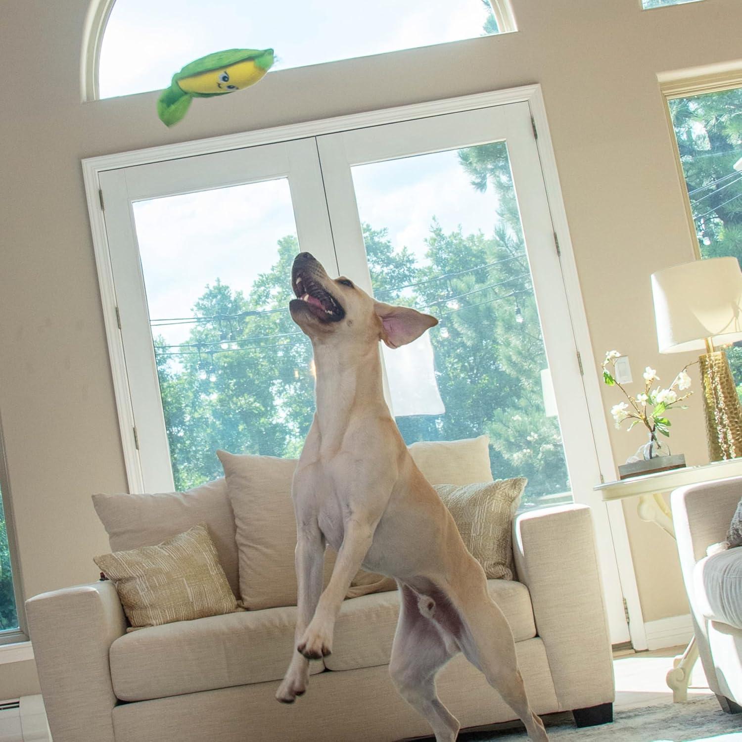 Juguete Interactivo para Perros Outward Hound Esconde N' Encuentra