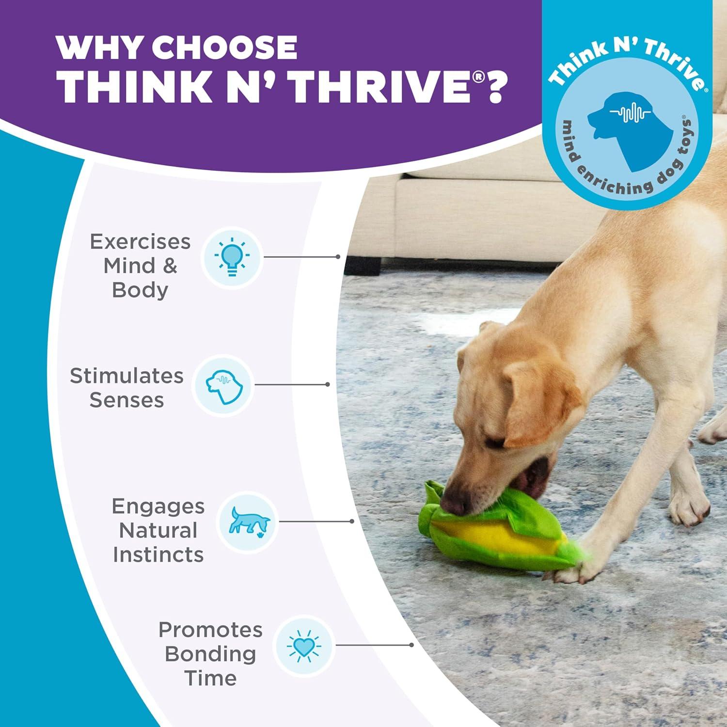 Juguete Interactivo para Perros Outward Hound Esconde N' Encuentra