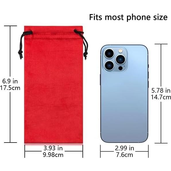 Bolsa de Gafas Triumph Vision 3 Pack Microfibra