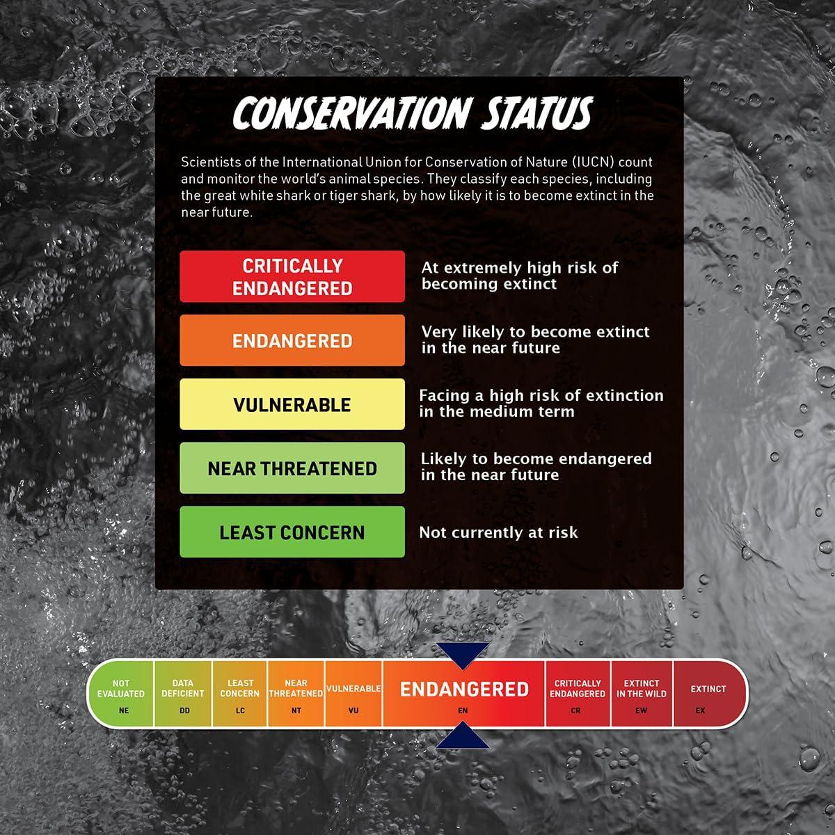 Libro Interactivo VR Shark Lab - Abacus Brands - 40 Páginas