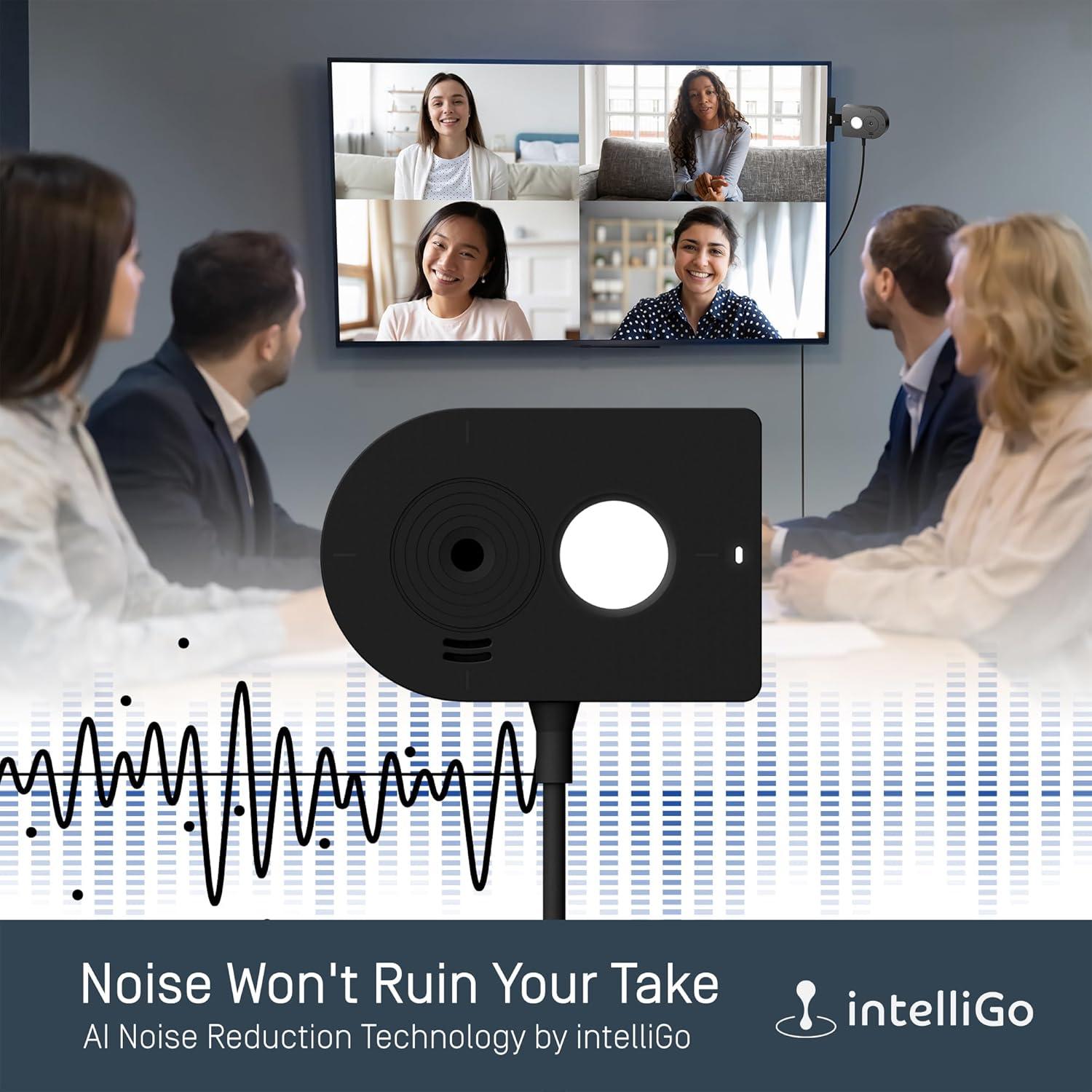 IPEVO Webcam MP-8M 4K USB con Micrófono AI y Luz LED