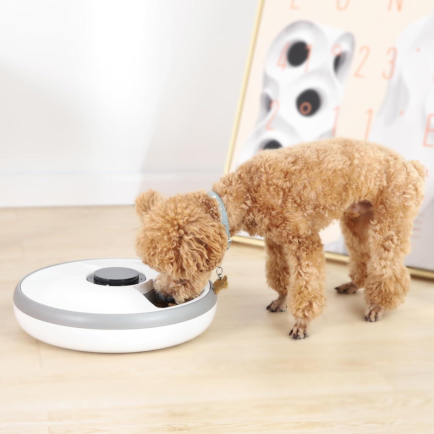 Comedero Automático Amazon Basics 31.5x31.5cm con Enfriamiento