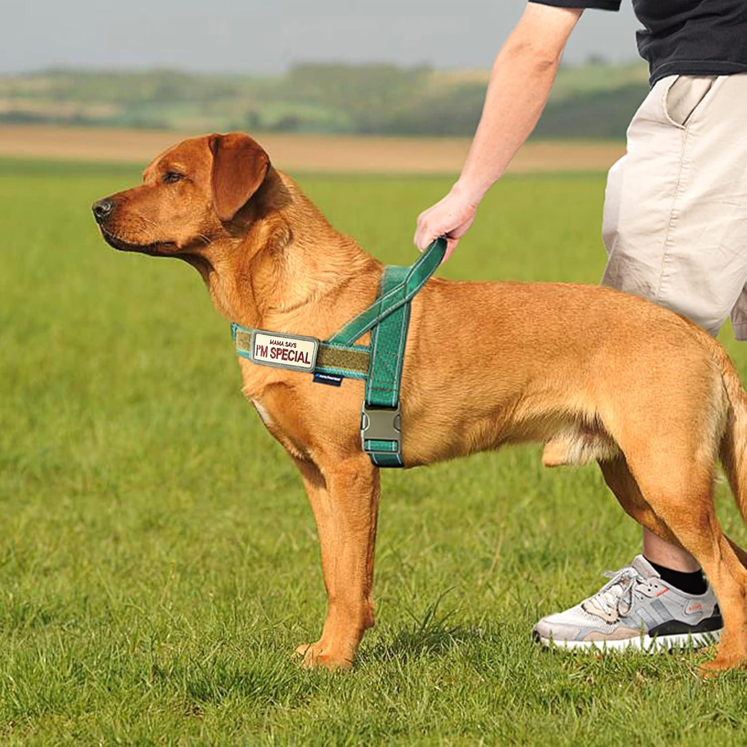 Arnés para Perros Annchwool Sin Tirones Verde L Acolchado Reflectante