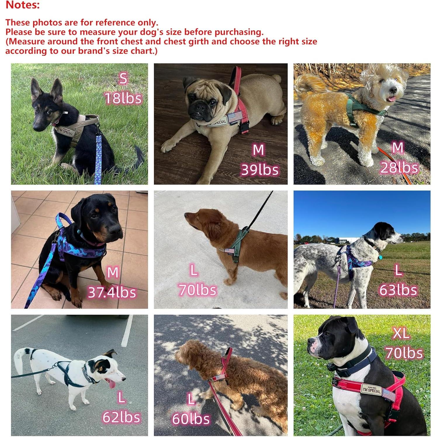 Arnés para Perros Annchwool Sin Tirones Verde L Acolchado Reflectante