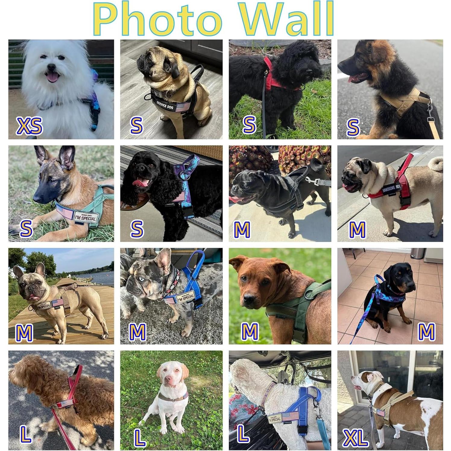 Arnés para Perros Annchwool Sin Tirones Verde L Acolchado Reflectante