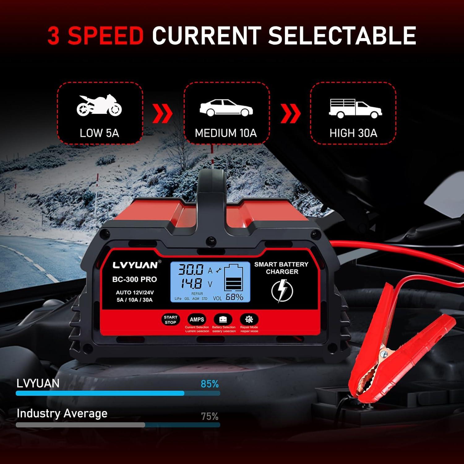 Cargador de batería inteligente LVYUAN 30A 12V/24V LCD