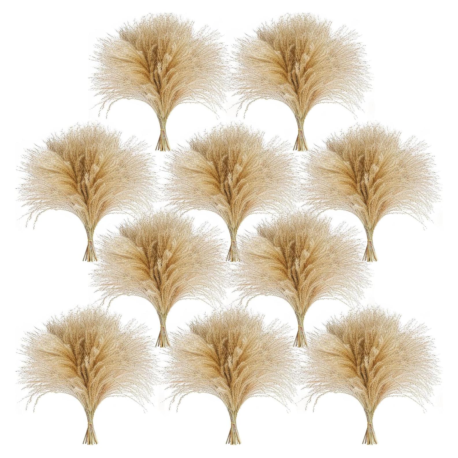 450 Piezas de Hierba Pampas Natural CKBT - Decoración Bohemia