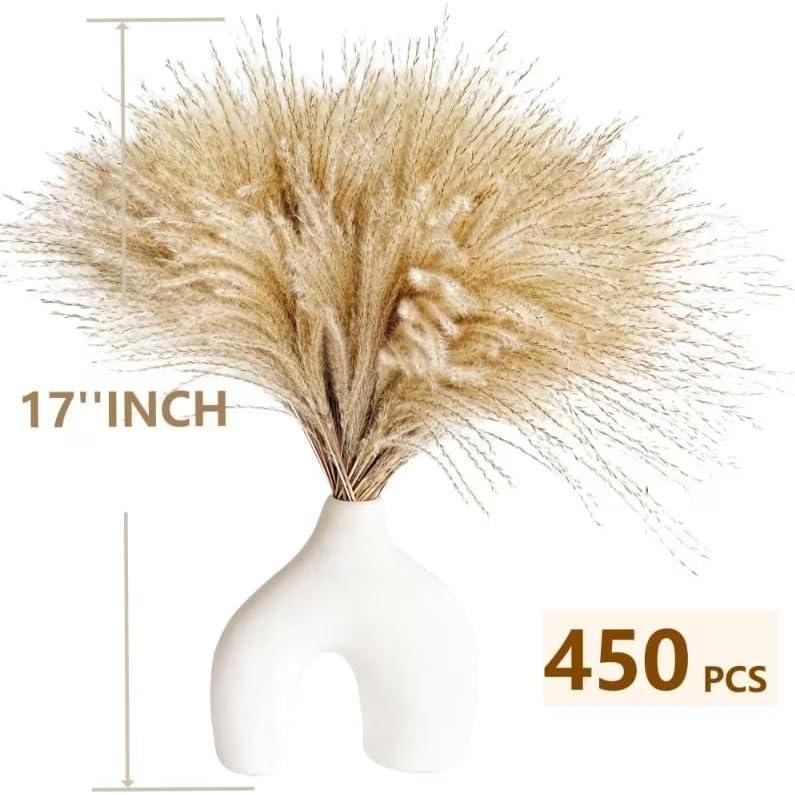 450 Piezas de Hierba Pampas Natural CKBT - Decoración Bohemia