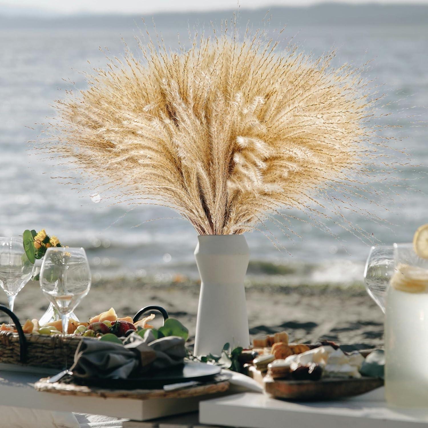 450 Piezas de Hierba Pampas Natural CKBT - Decoración Bohemia