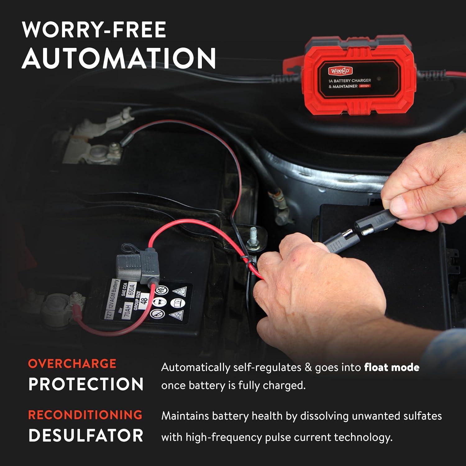 Mantenedor de Batería Weego BCM1 6V/12V Carga Automática