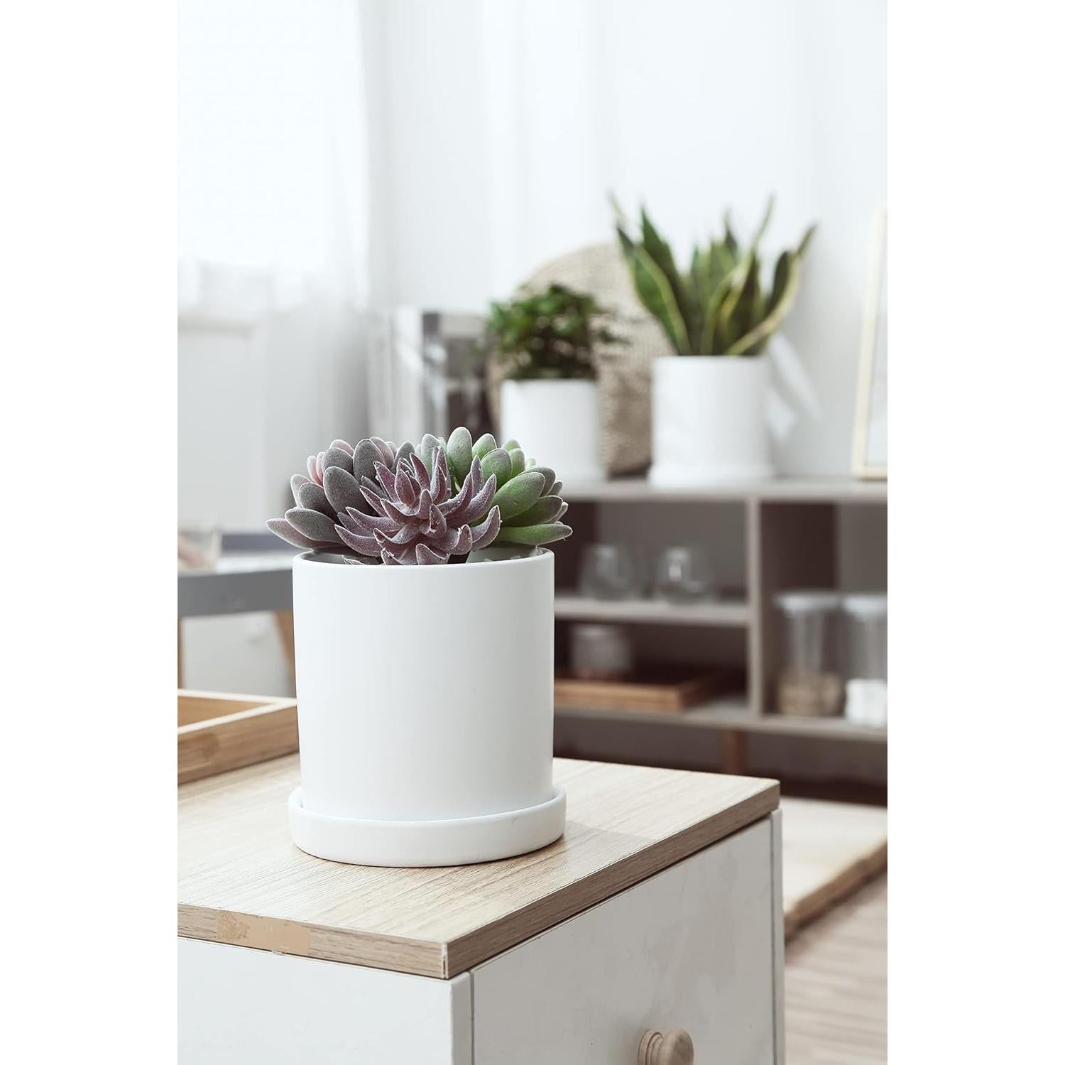 Plato de Cerámica Blanca Mate 11.94 cm - 2 Pack para Macetas