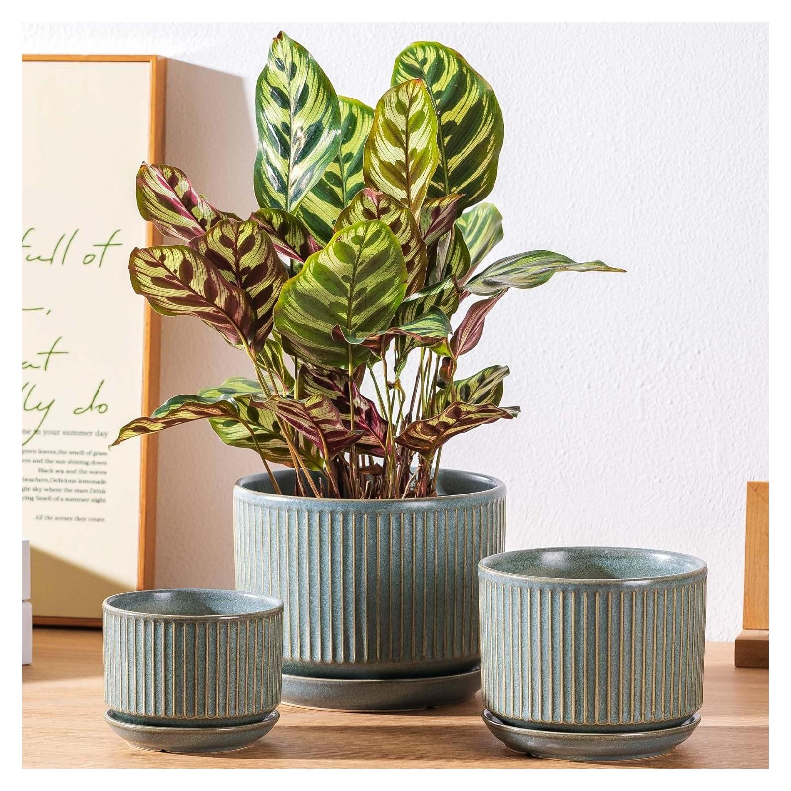Juego de 3 Macetas de Cerámica Verde SURE YUESI con Drenaje