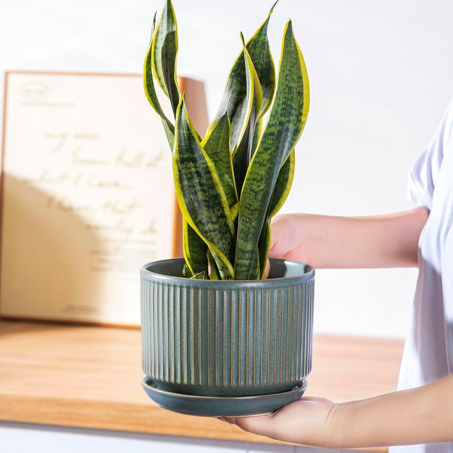 Juego de 3 Macetas de Cerámica Verde SURE YUESI con Drenaje