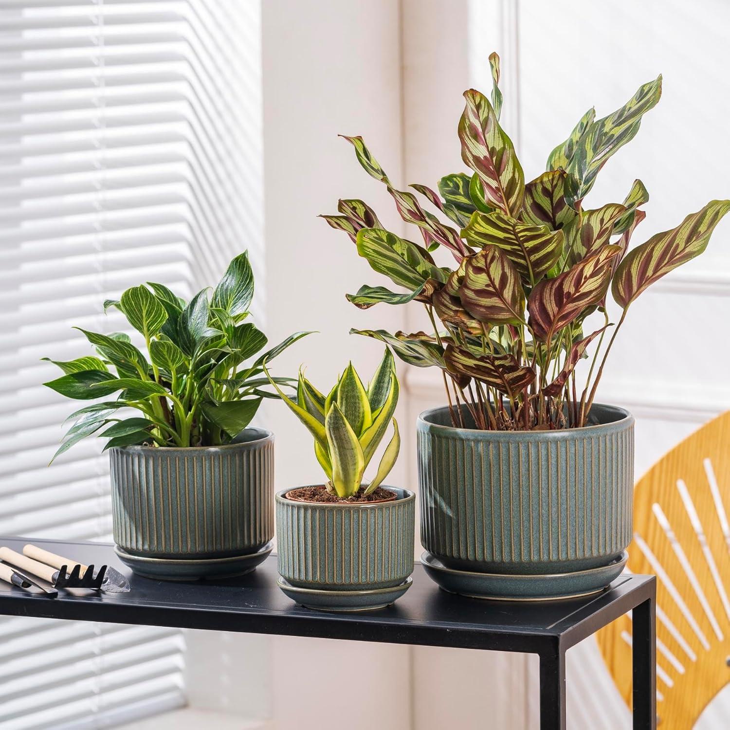 Juego de 3 Macetas de Cerámica Verde SURE YUESI con Drenaje