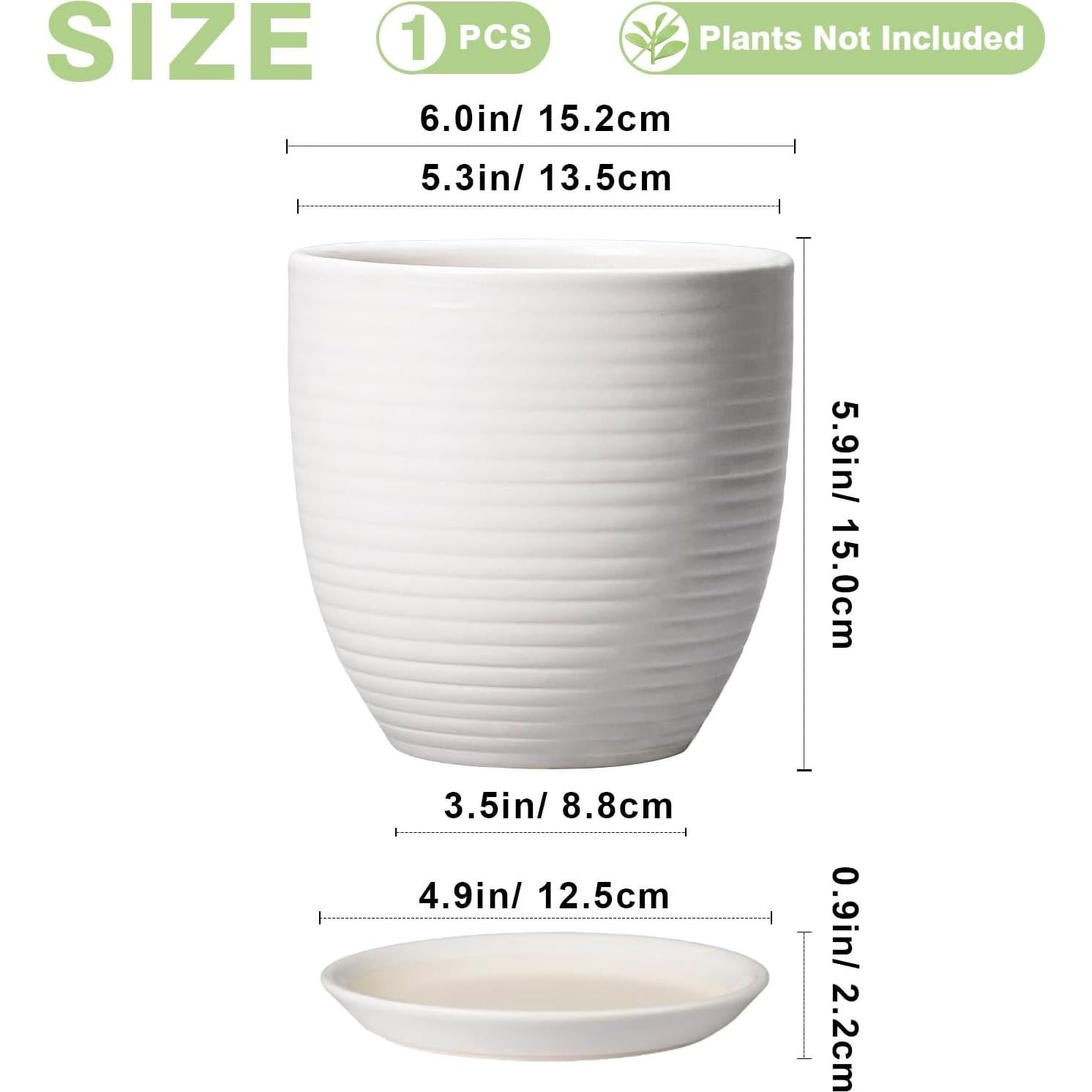 Maceta de Cerámica Blanca 15.24 cm con Drenaje EPFamily