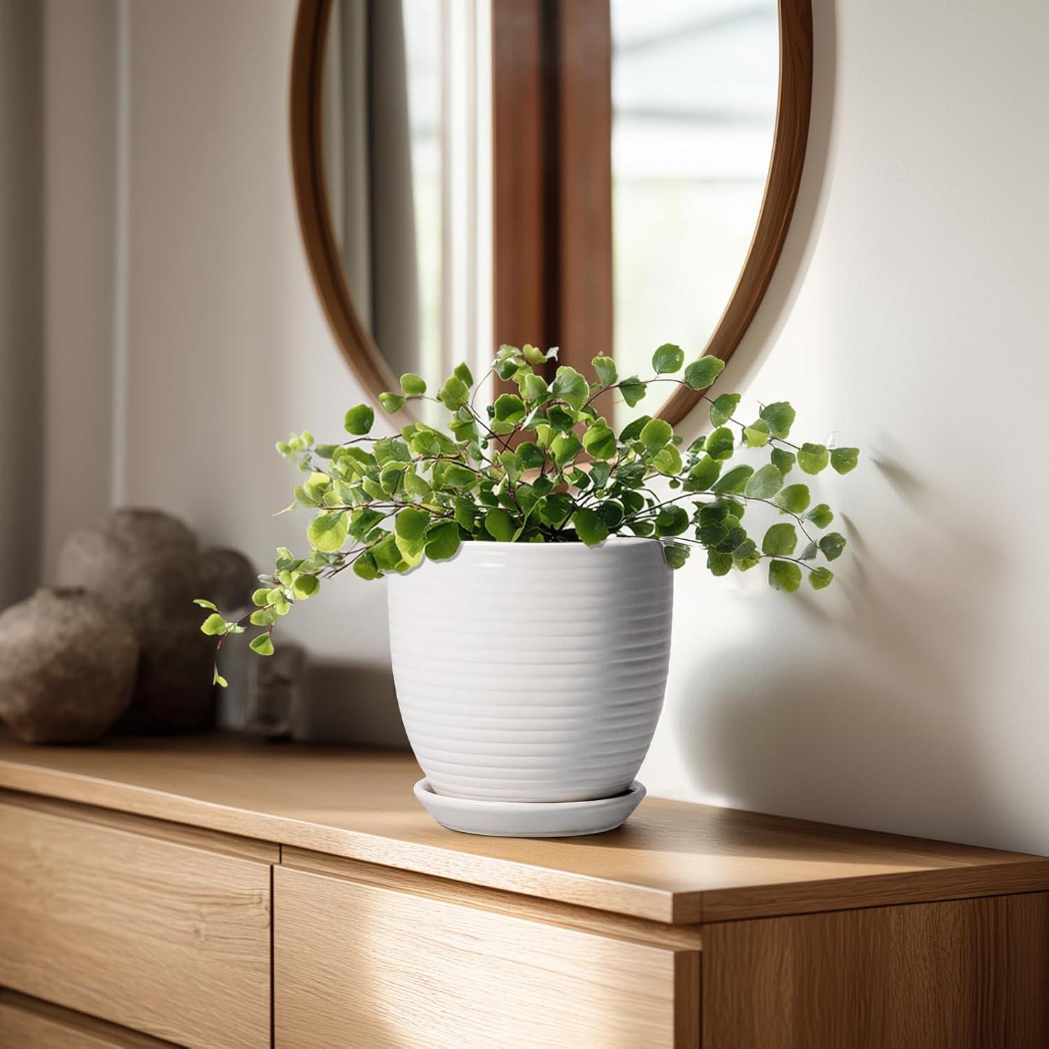 Maceta de Cerámica Blanca 15.24 cm con Drenaje EPFamily