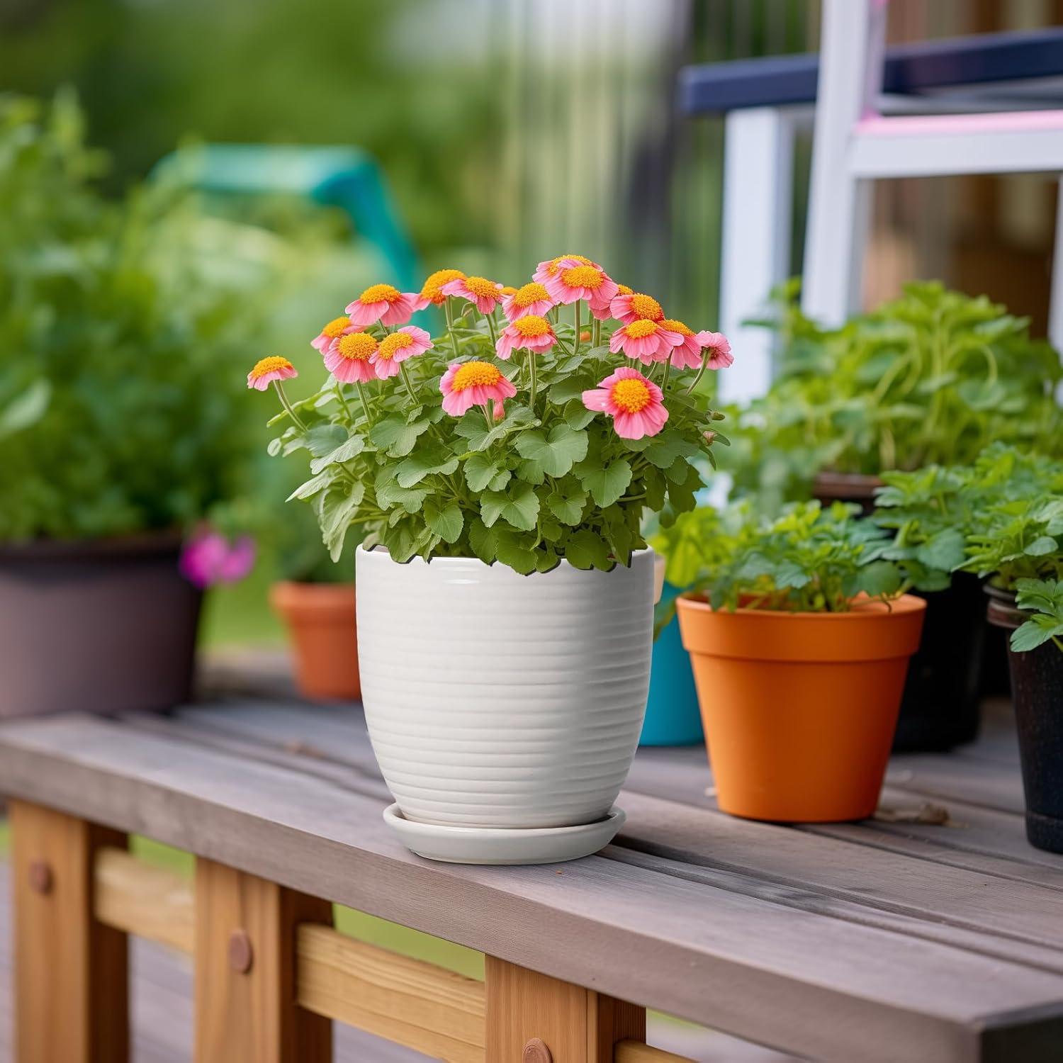Maceta de Cerámica Blanca 15.24 cm con Drenaje EPFamily
