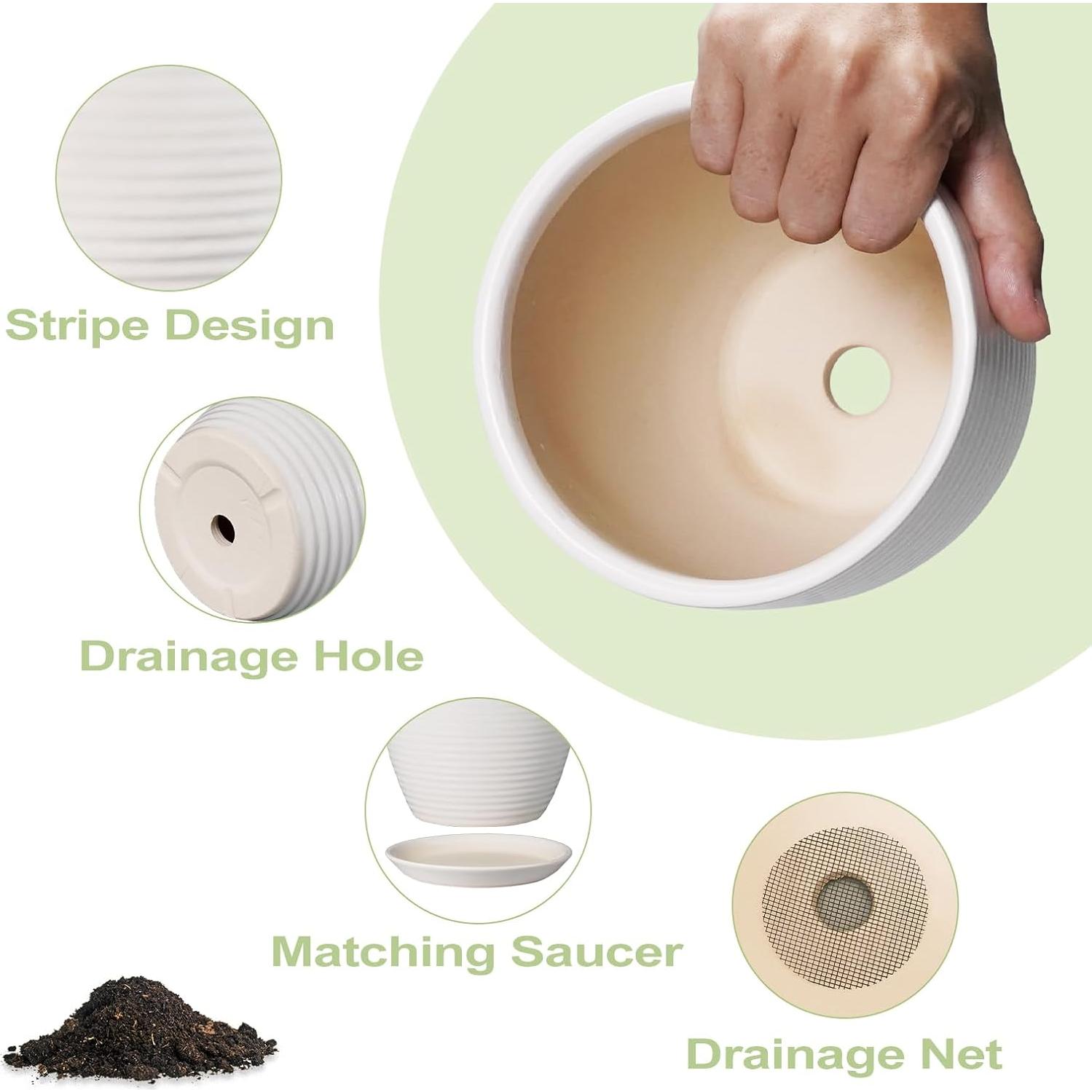 Maceta de Cerámica Blanca 15.24 cm con Drenaje EPFamily