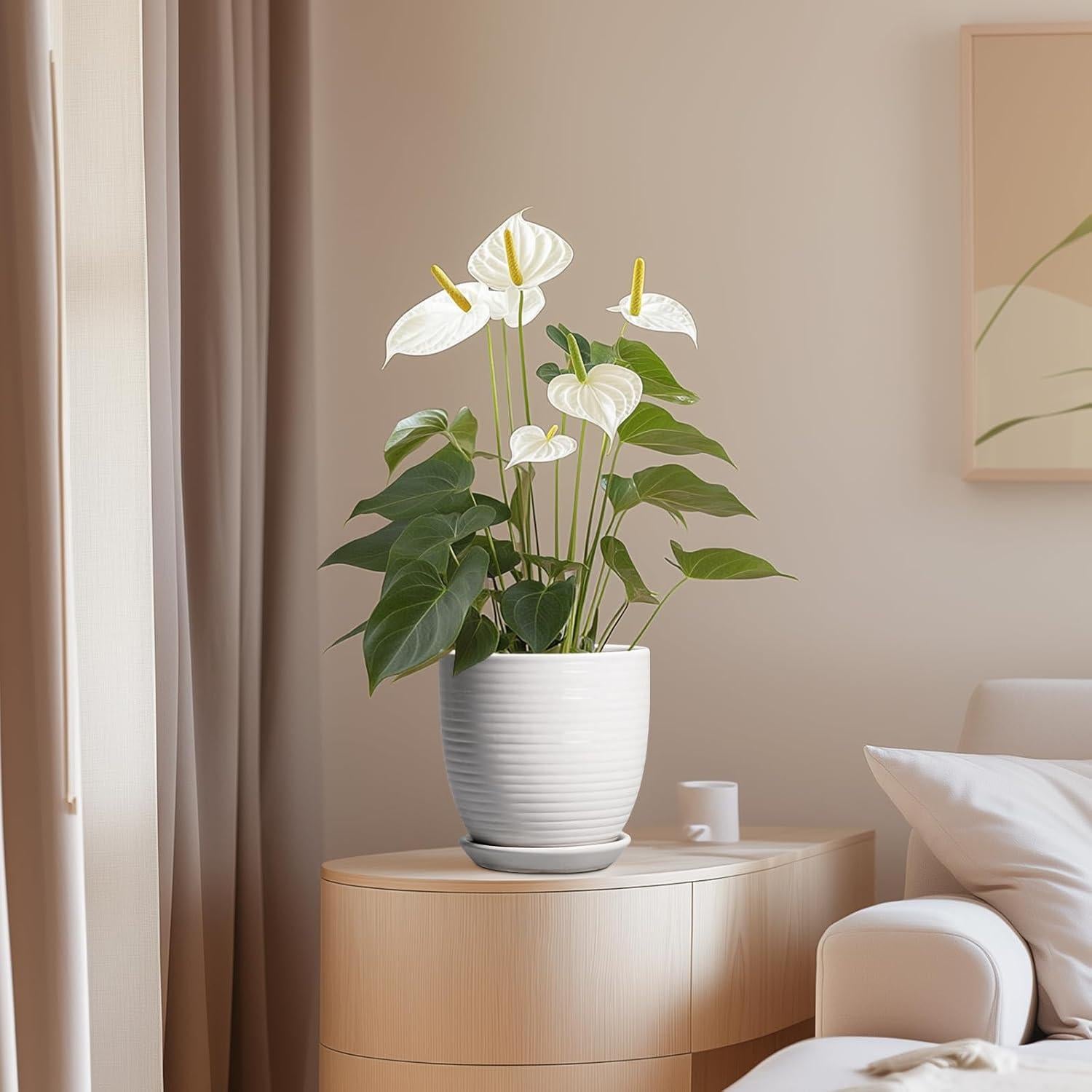 Maceta de Cerámica Blanca 15.24 cm con Drenaje EPFamily