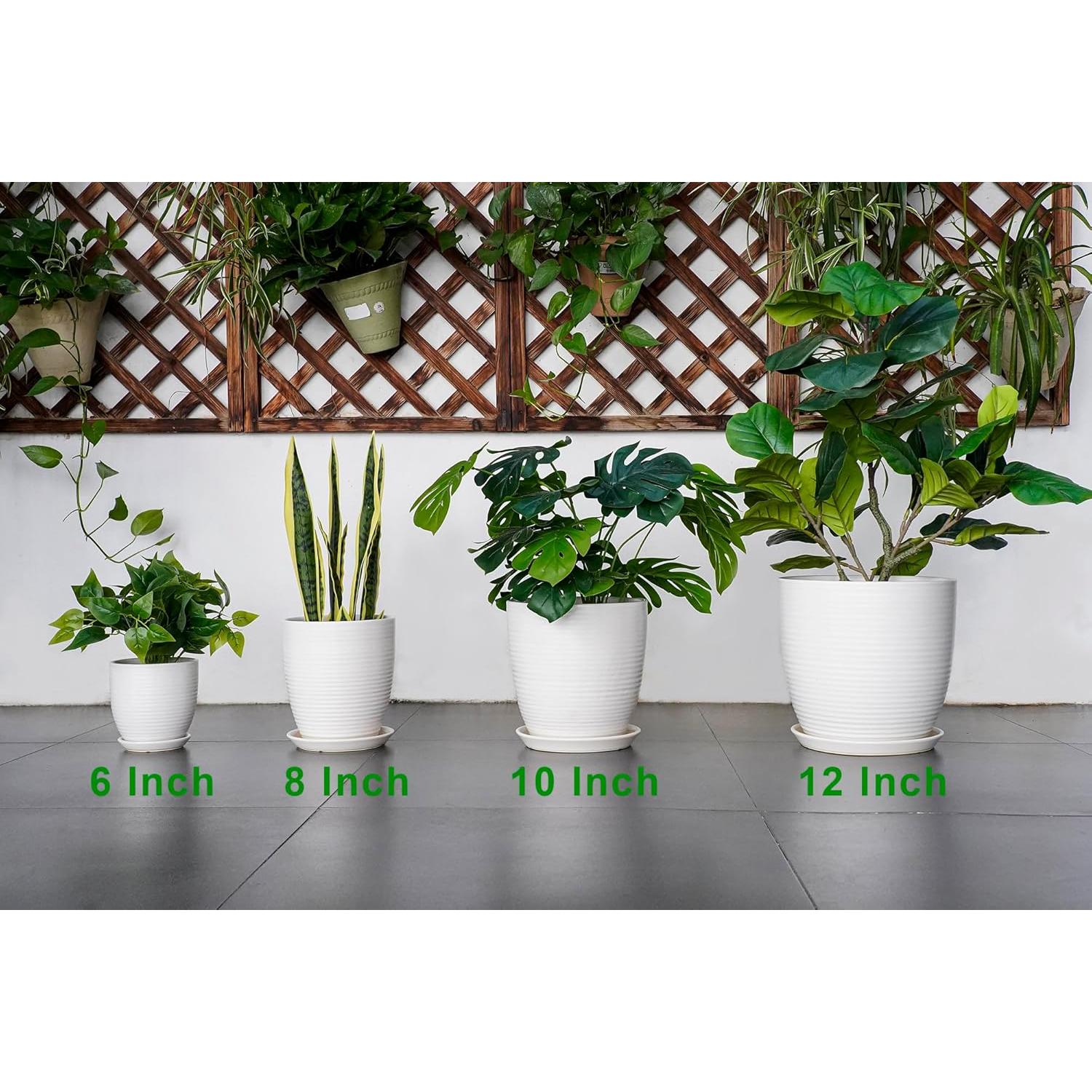 Maceta de Cerámica Blanca 15.24 cm con Drenaje EPFamily