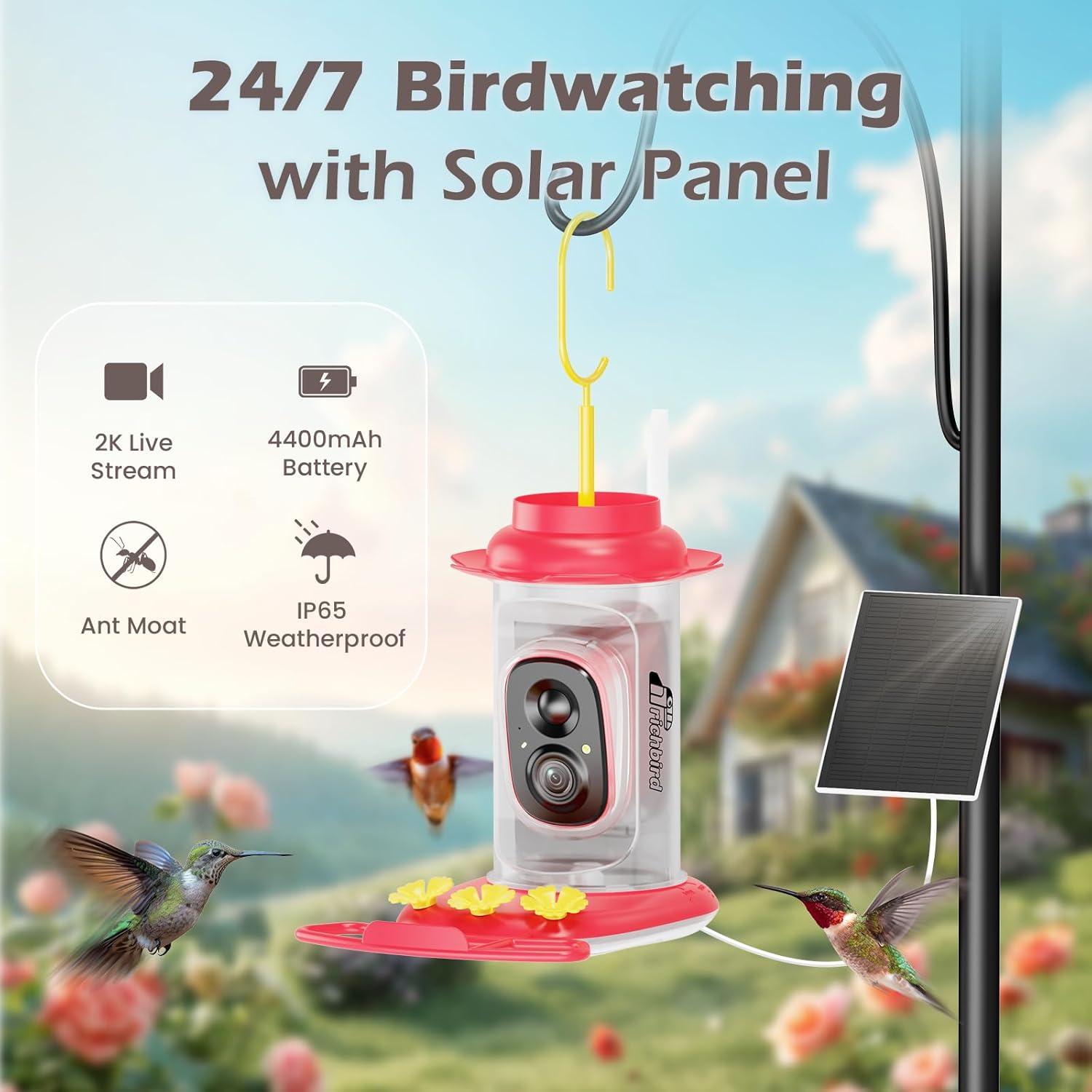 Alimentador de Colibríes Inteligente RichBird con Cámara Solar