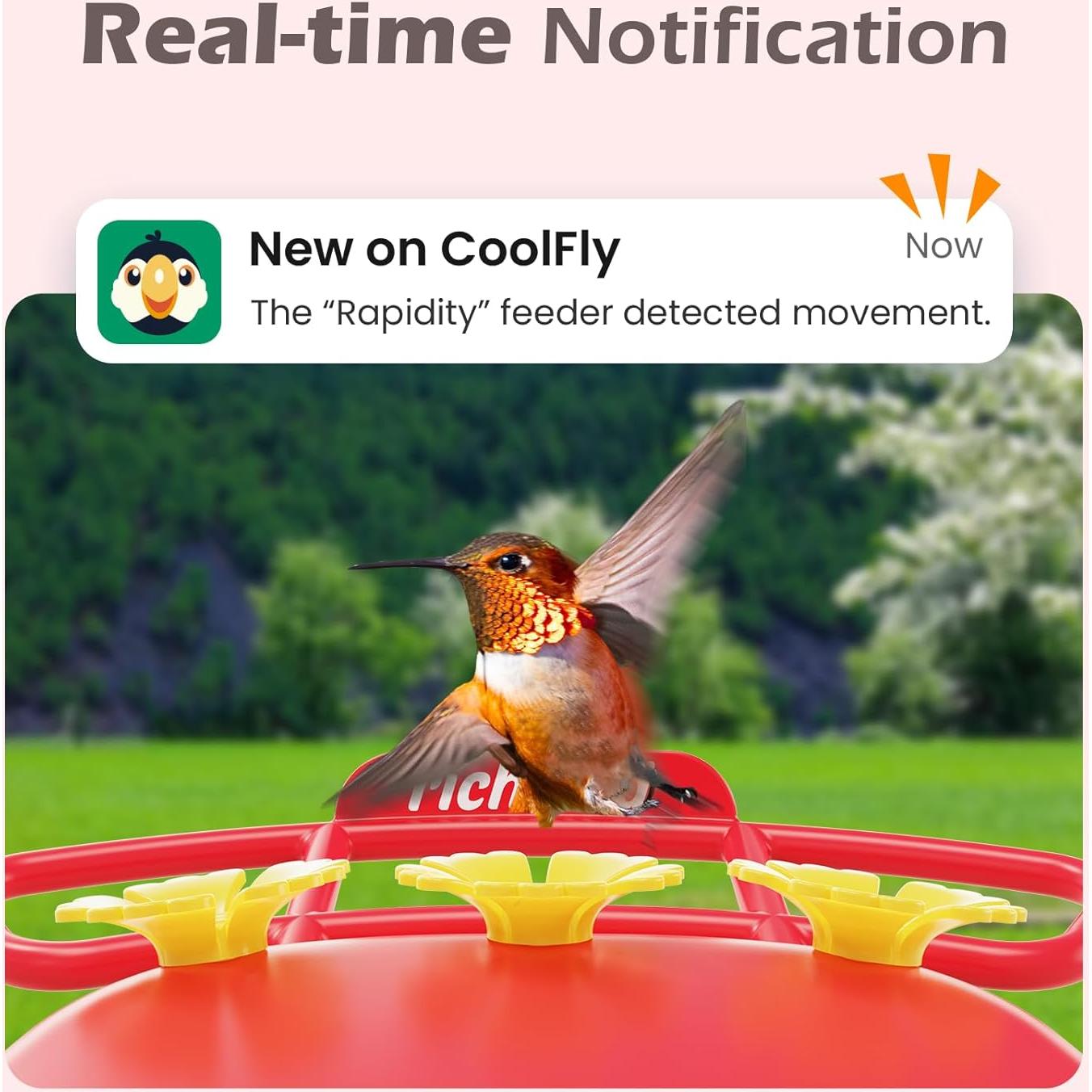 Alimentador de Colibríes Inteligente RichBird con Cámara Solar