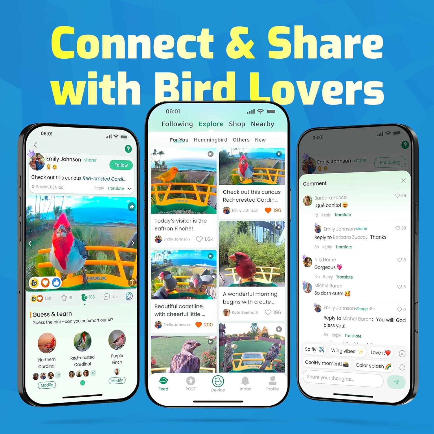 Alimentador de Colibríes Inteligente RichBird con Cámara Solar