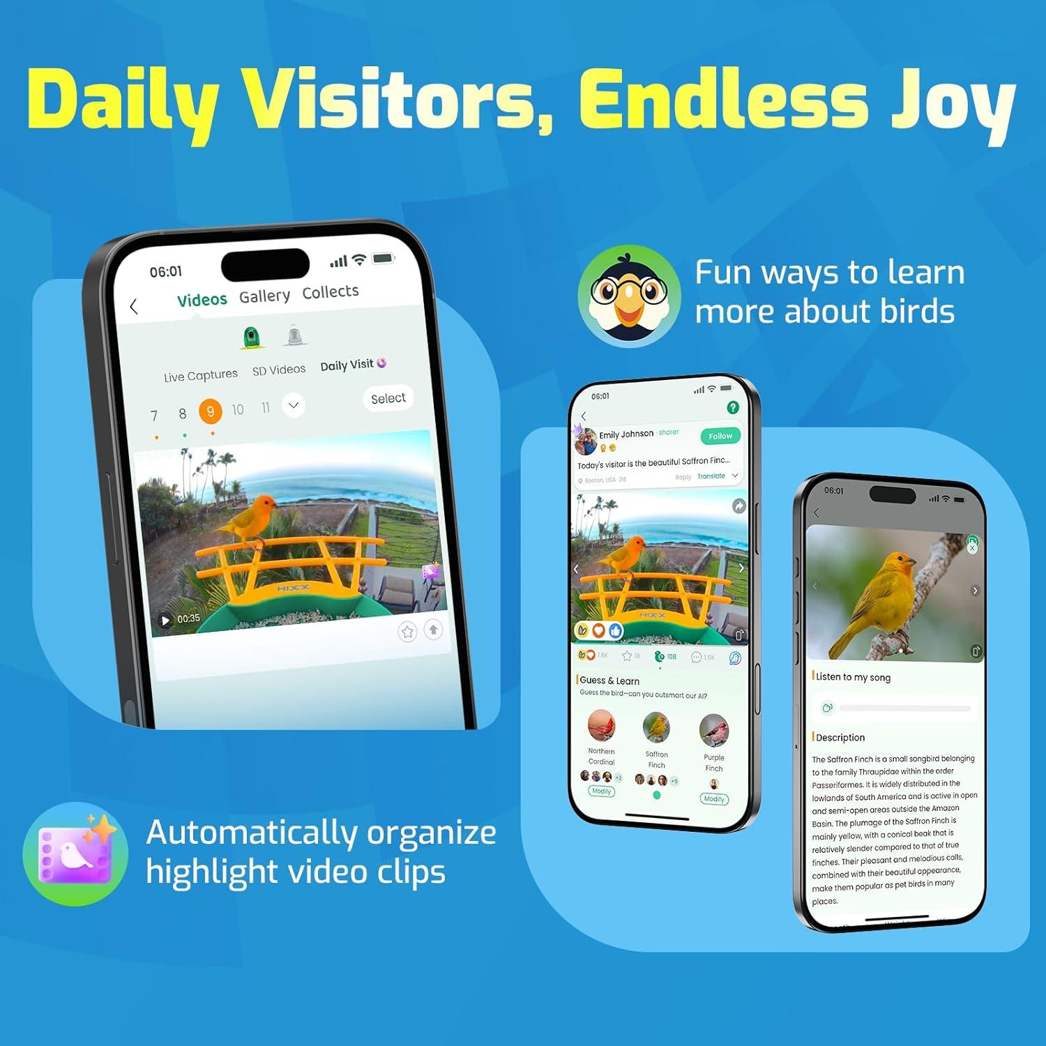 Alimentador de Colibríes Inteligente RichBird con Cámara Solar