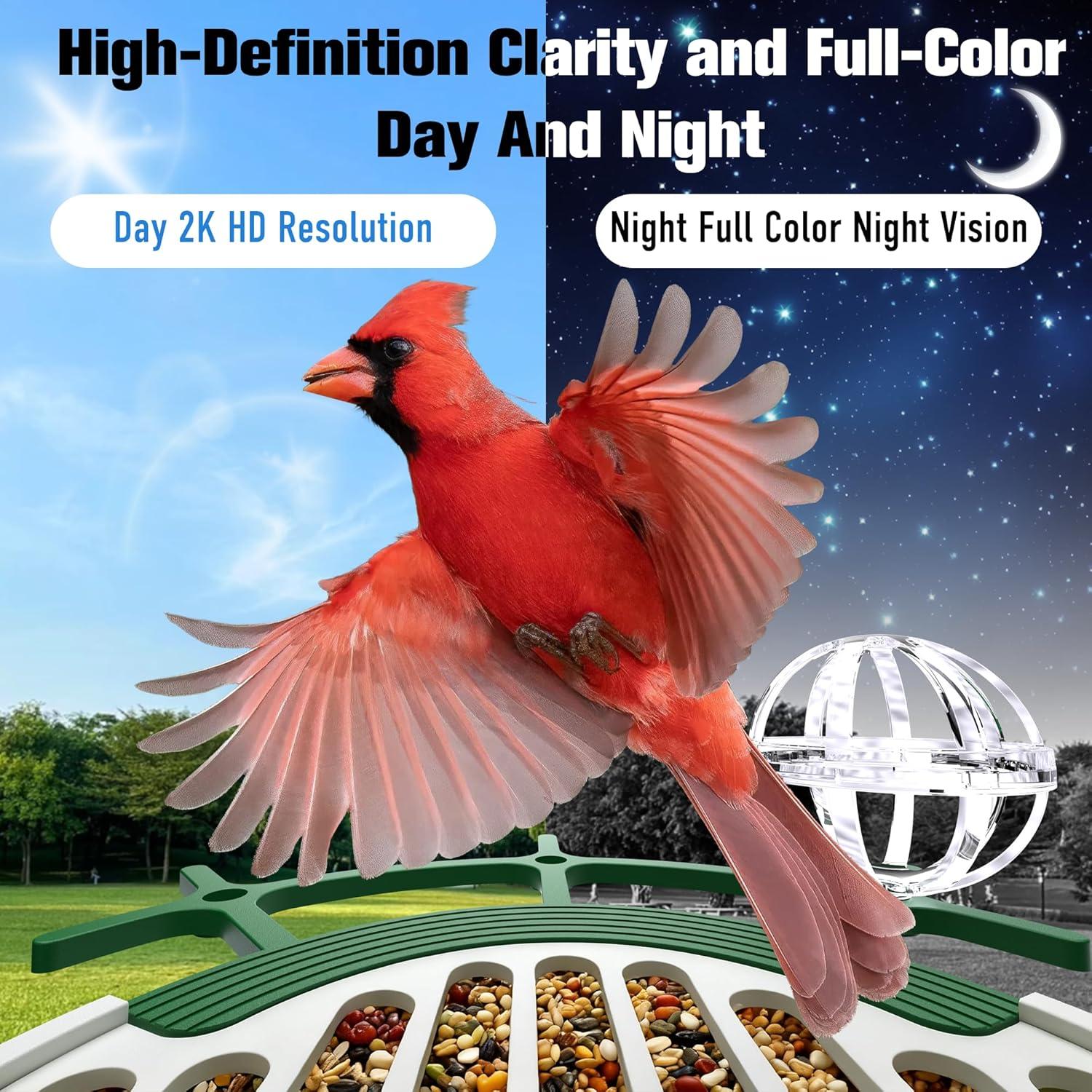 Comedero Solar Inteligente para Aves Voxblend 1.5L Verde