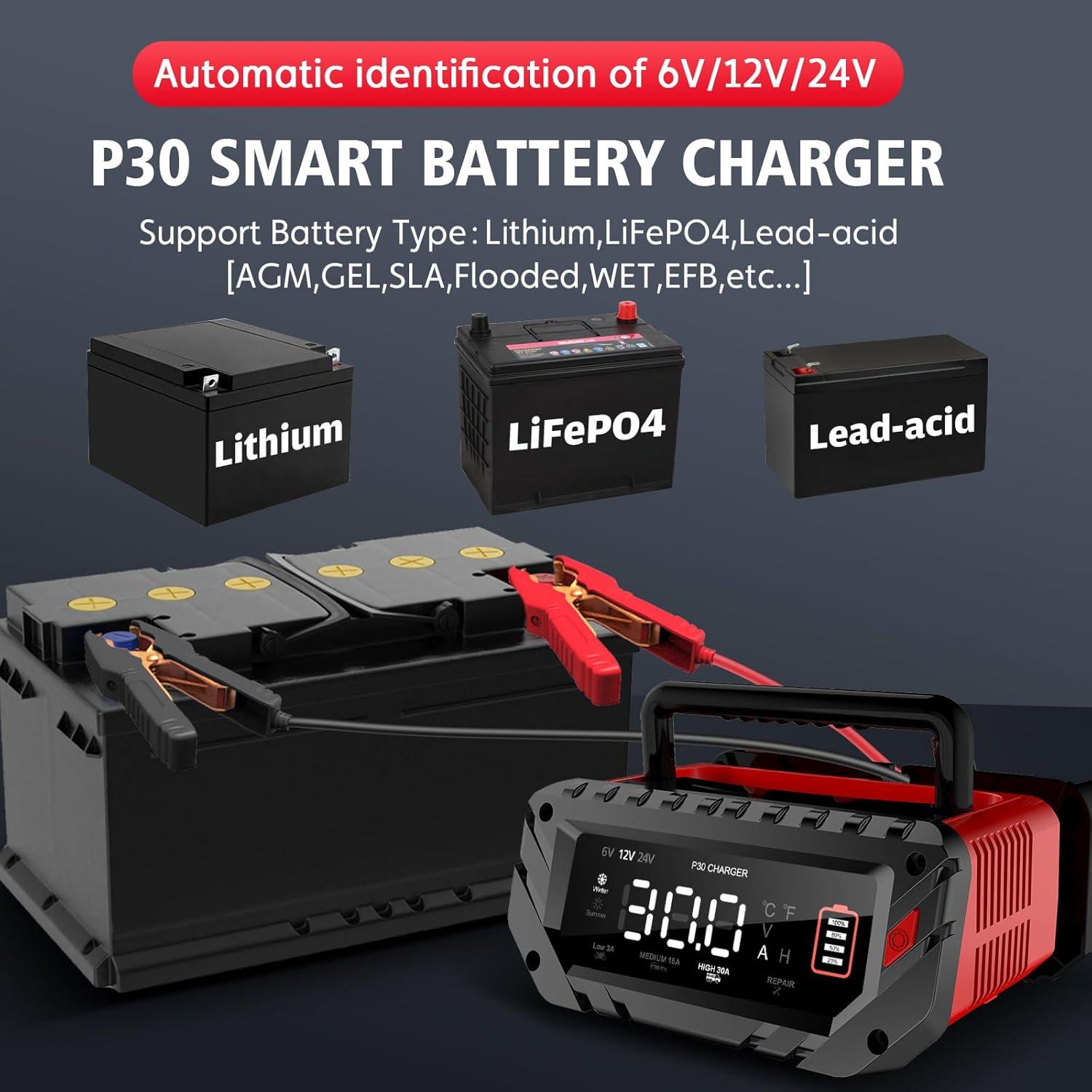 Cargador Inteligente de Batería 6V/12V/24V YHCHKJ 30A