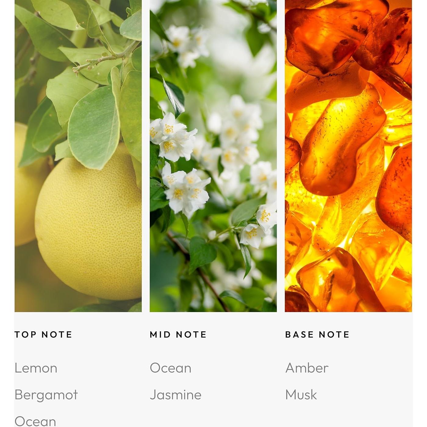 Difusor de Aceite Aroma360 Escapade - Ambientador Auto