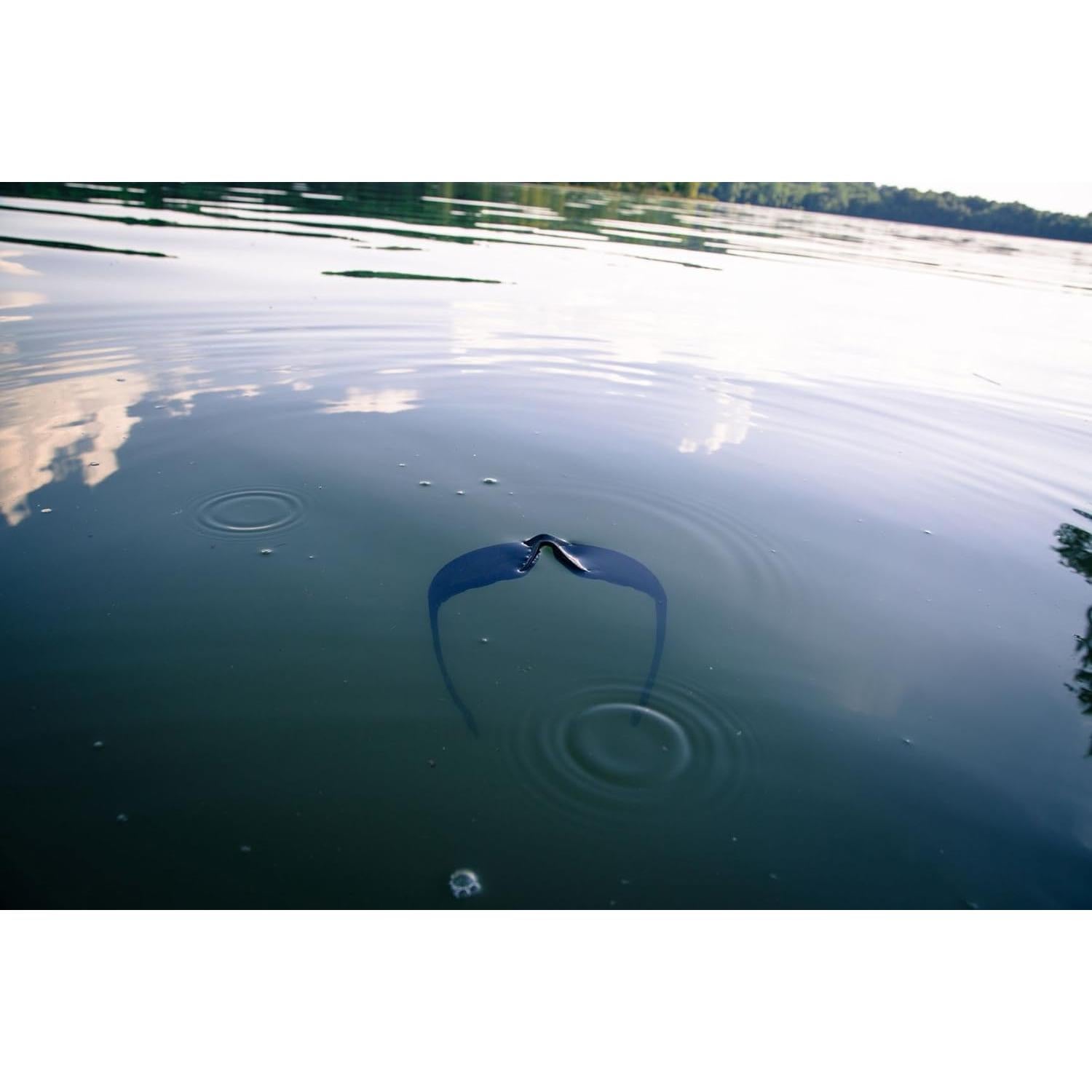 Gafas de sol deportivas WYND Blocker para ciclismo y motos