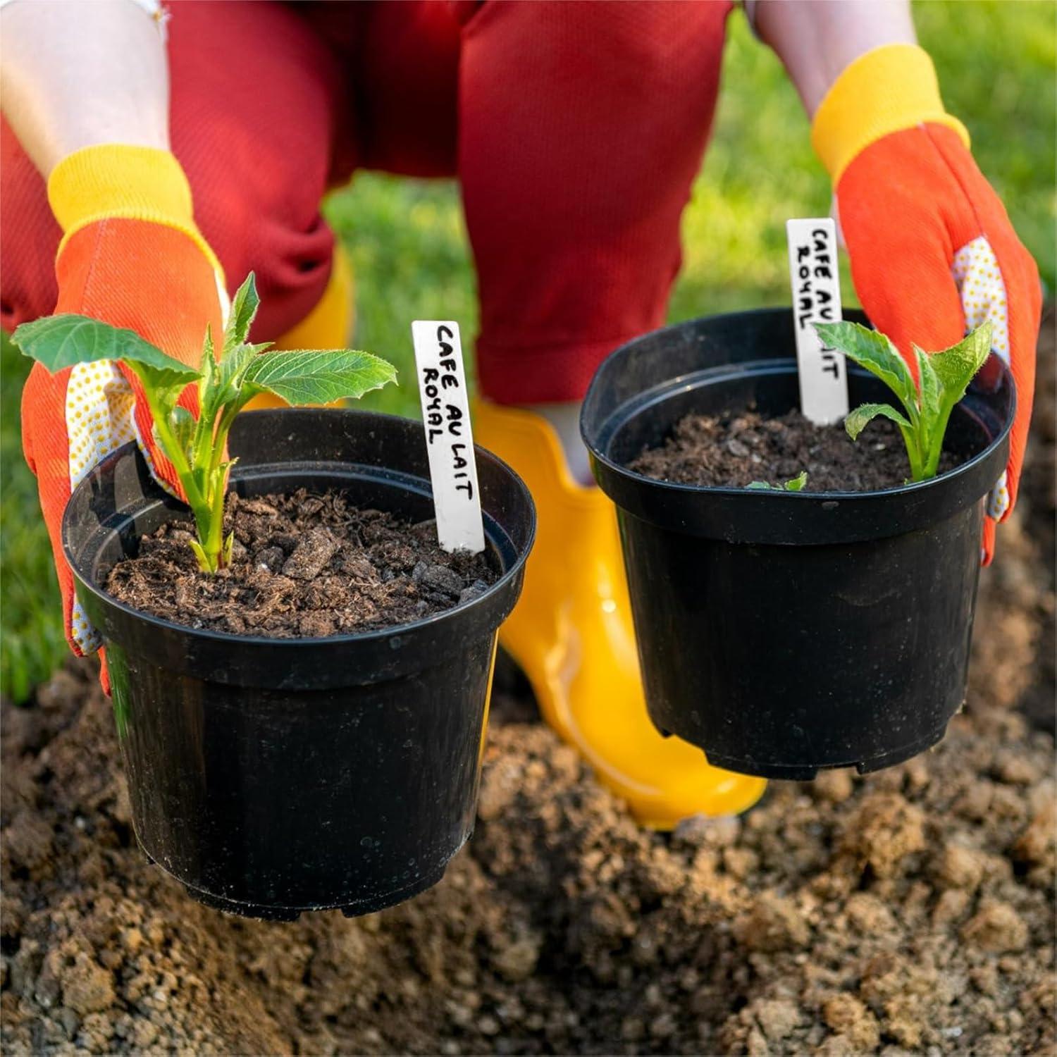 Etiquetas para Plantas Dalzom 300 Pcs PVC Impermeables Blancas