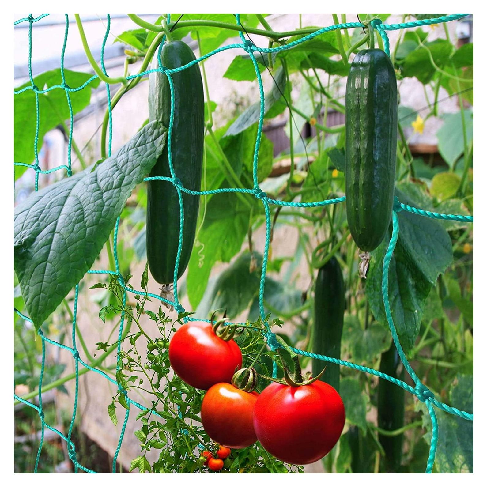 Malla de Enrejado para Plantas Trepadoras Miuezuth 5x2m