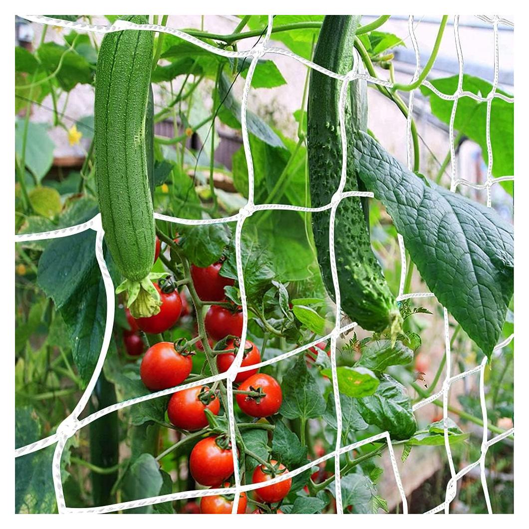 Malla de Enrejado para Jardín CANAGROW 1.83x4.57m Nylon