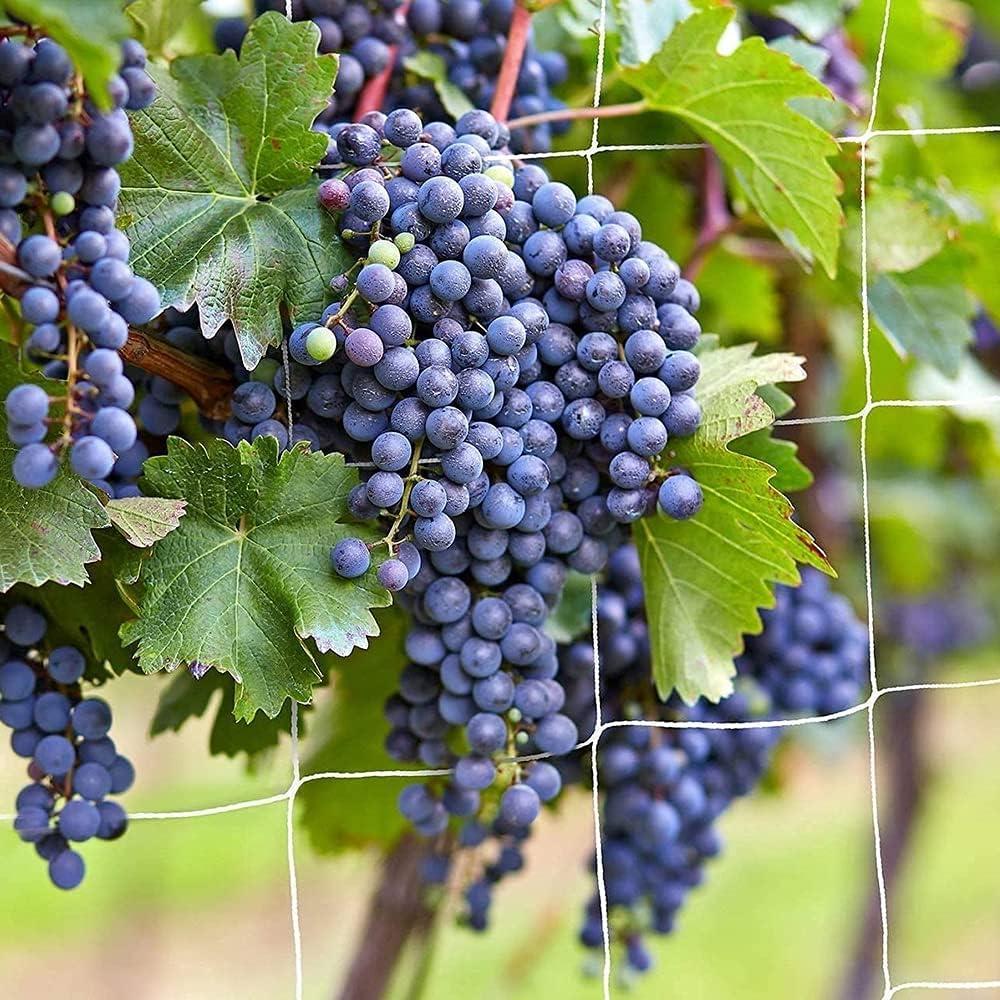 Malla de Enrejado para Jardín CANAGROW 1.83x4.57m Nylon