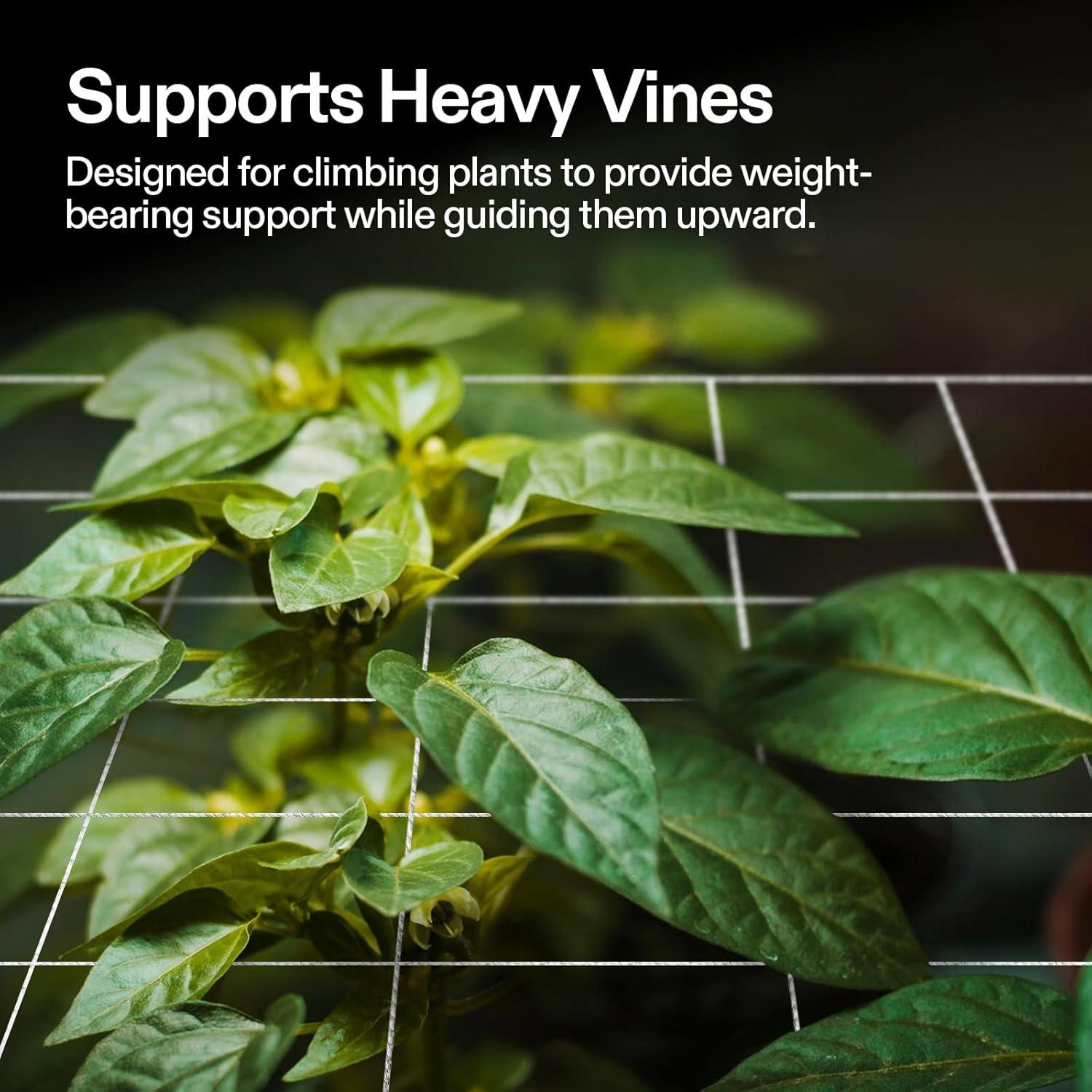 Red de Enrejado VIVOSUN 5x15 pies (1.52x4.57m) Poliester