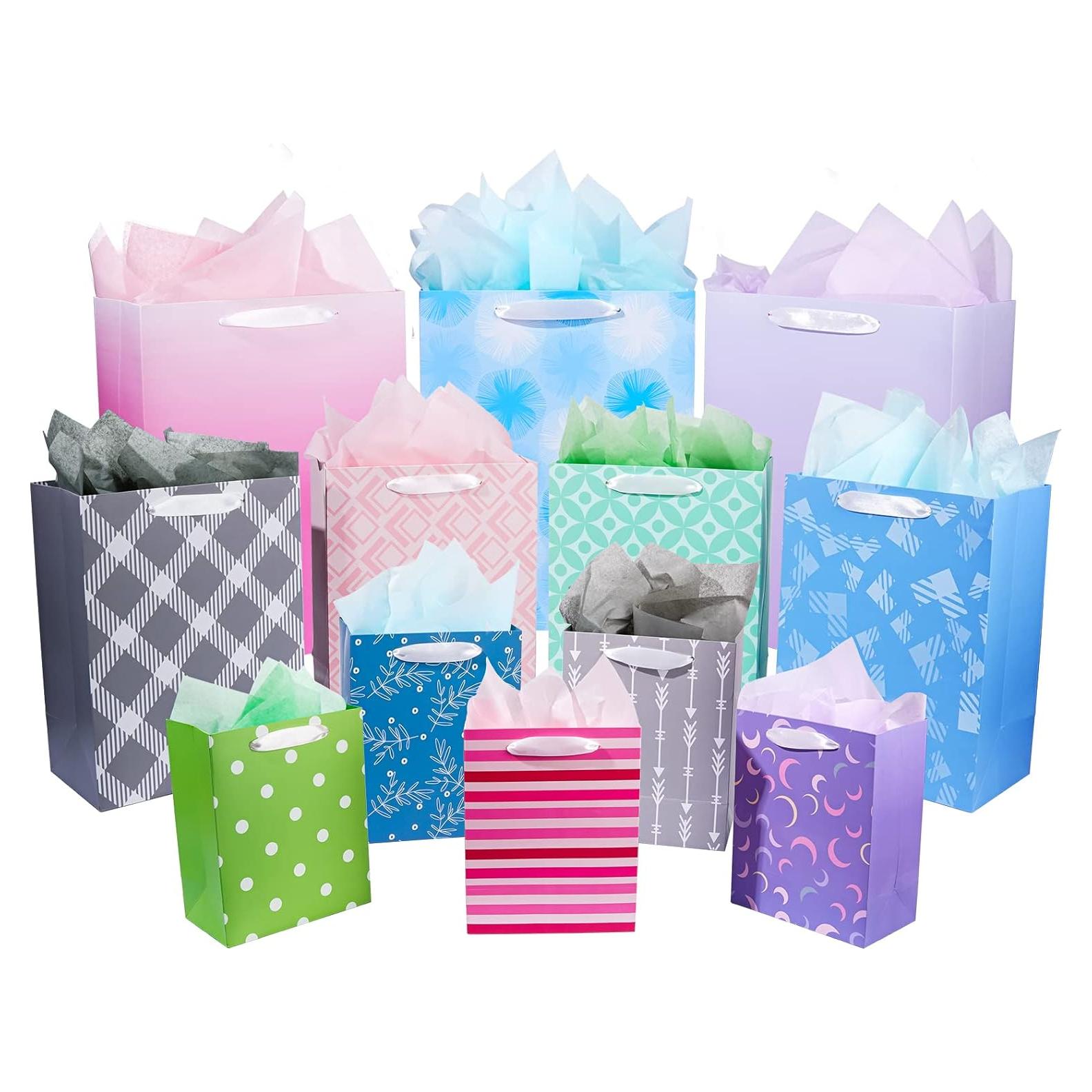 Paquete de 12 Bolsas de Regalo Plathus - Tamaños Variados