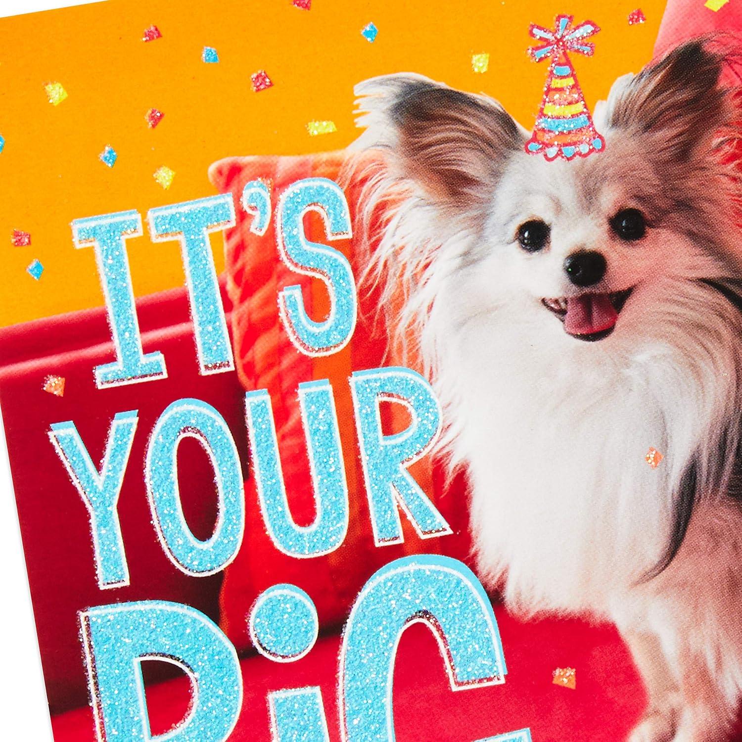 Asortimento de Tarjetas de Cumpleaños Hallmark - 20 Tarjetas y Sobres