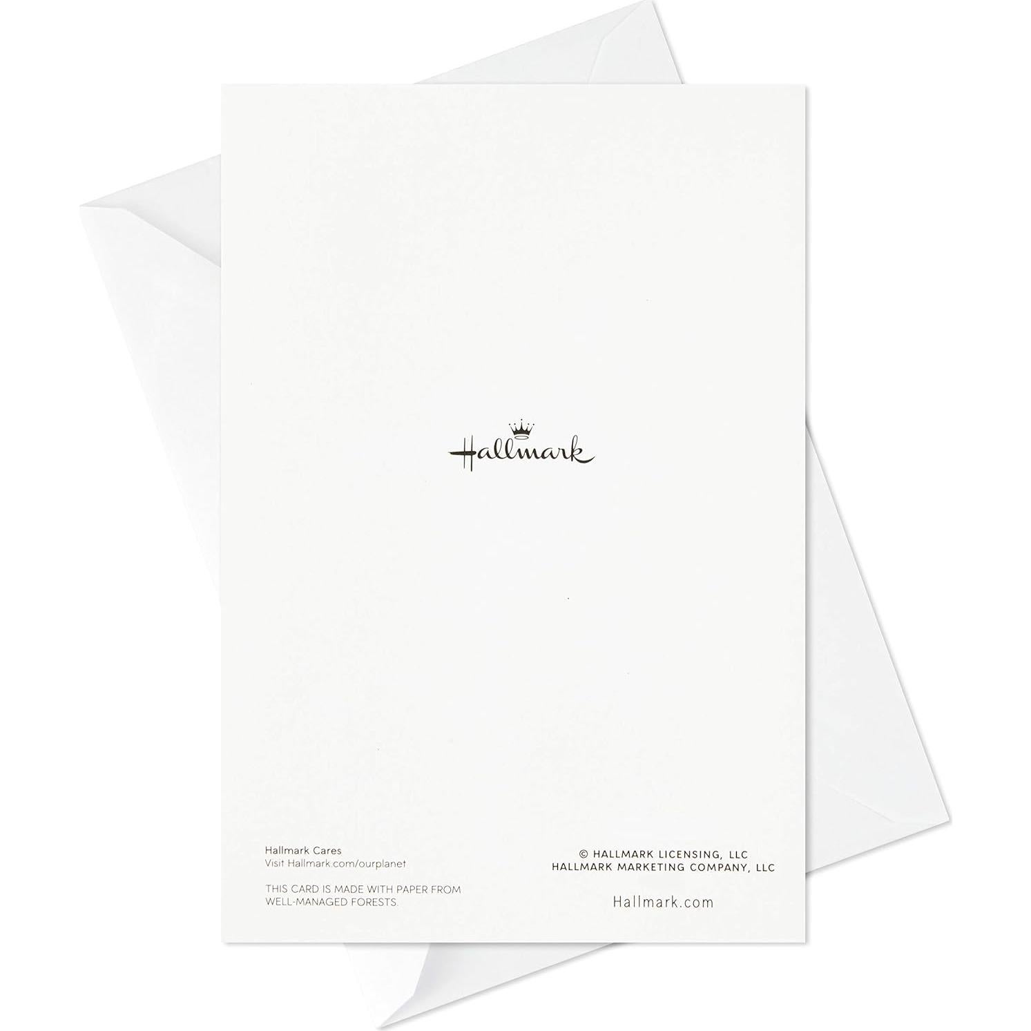 Asortimento de Tarjetas de Cumpleaños Hallmark - 20 Tarjetas y Sobres