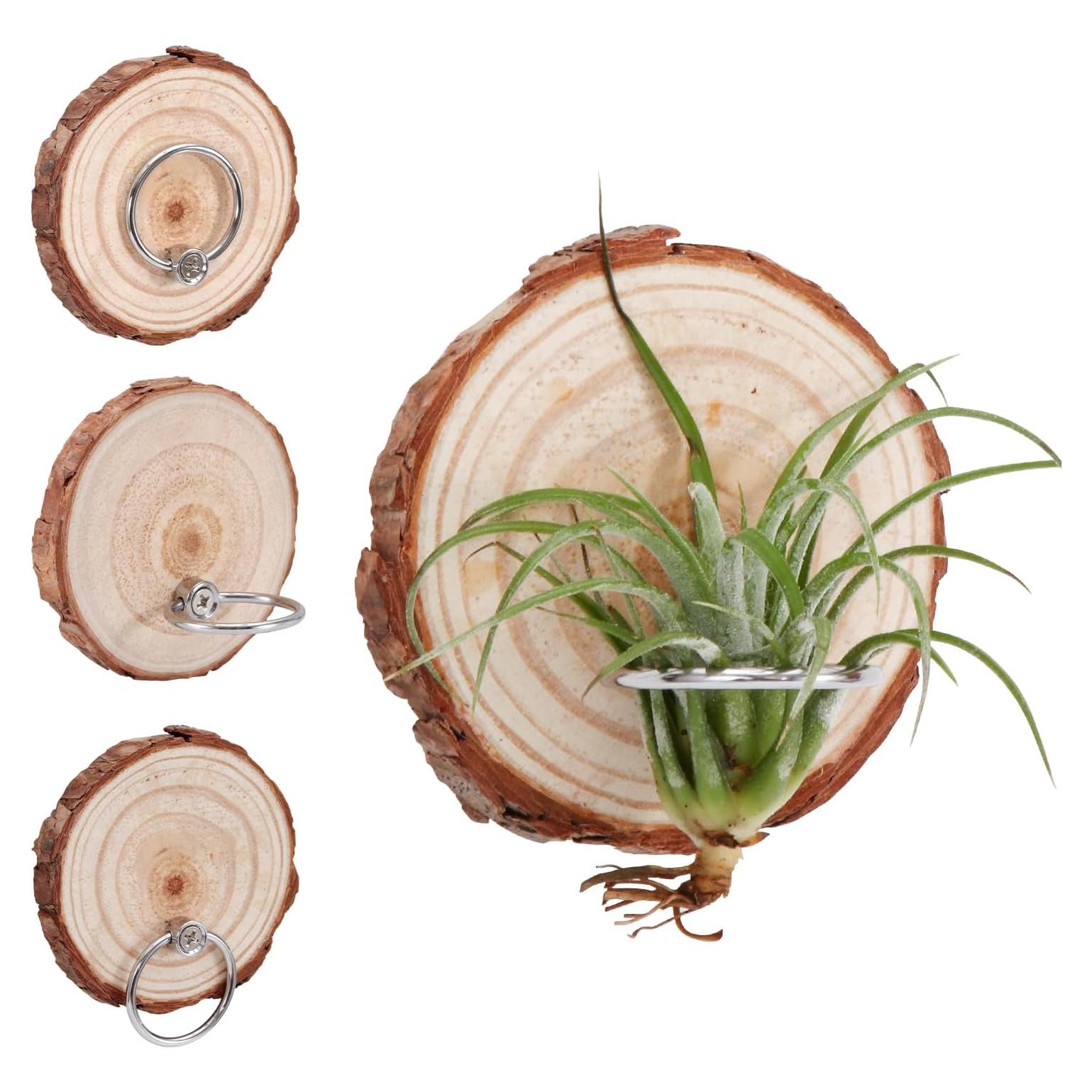 Soporte Magnético para Plantas de Aire Poefditev - 3 Piezas Madera Natural