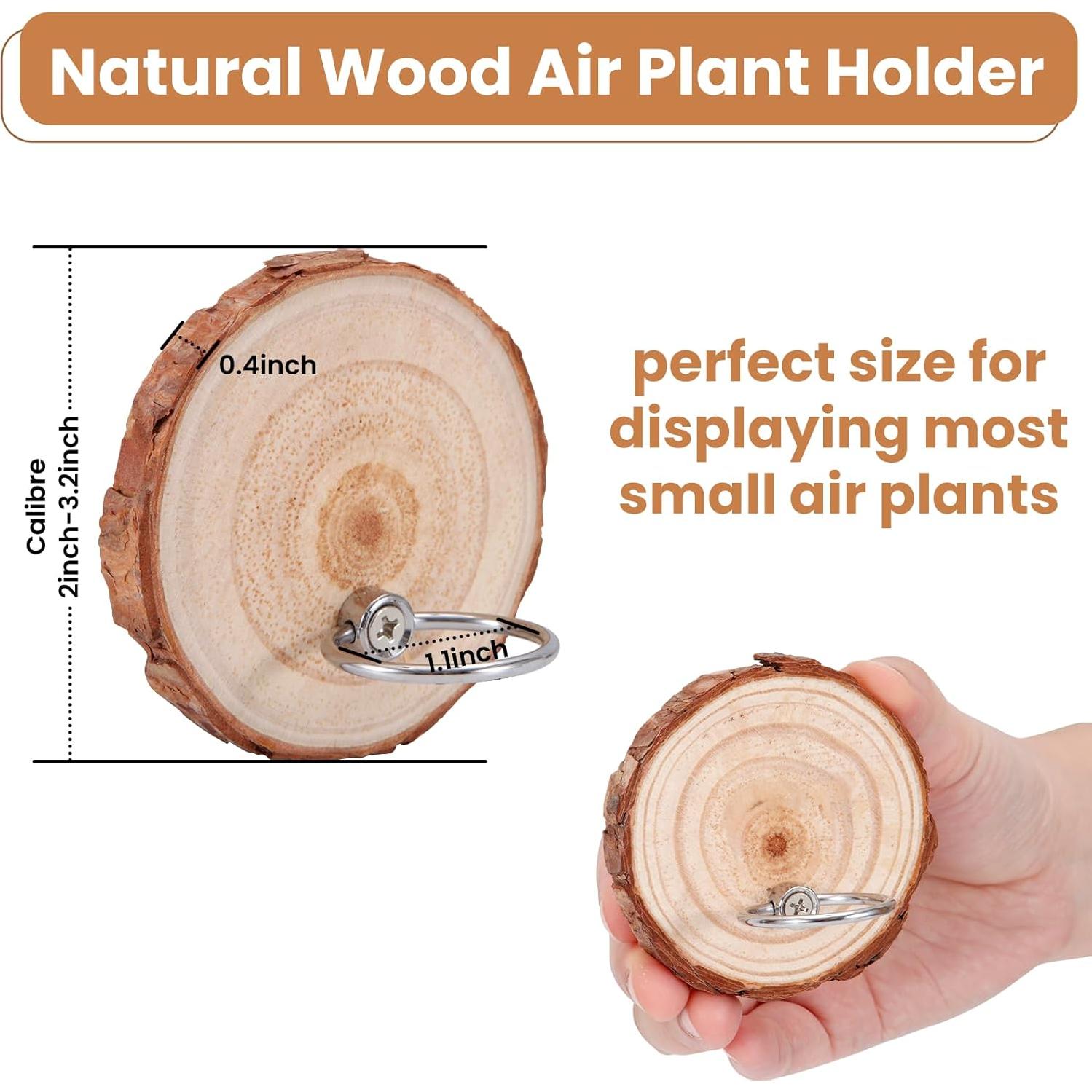 Soporte Magnético para Plantas de Aire Poefditev - 3 Piezas Madera Natural