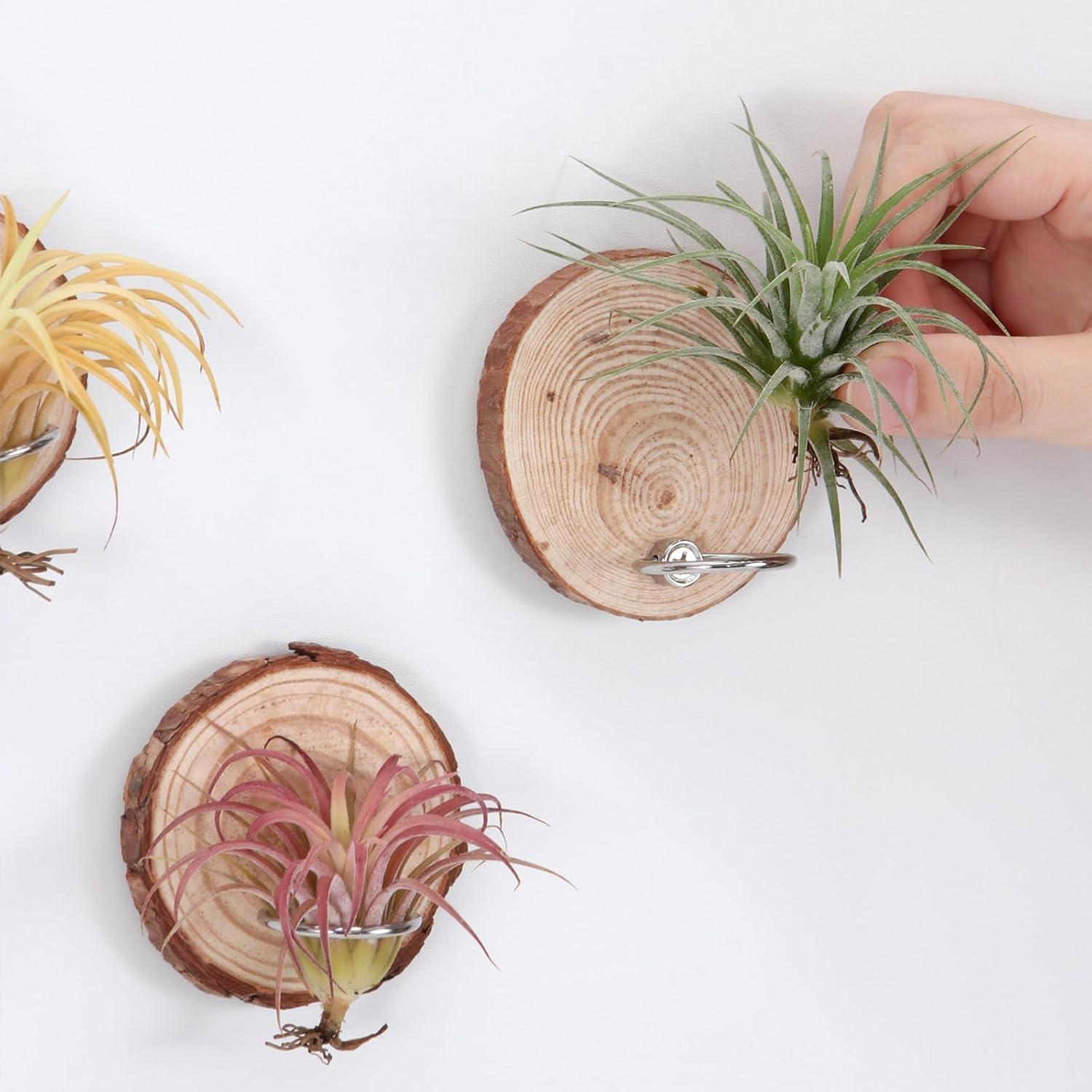 Soporte Magnético para Plantas de Aire Poefditev - 3 Piezas Madera Natural