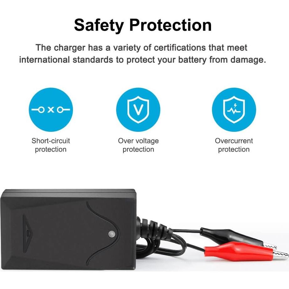 Cargador de Batería NASTIMA 6V 0.5A con LED y Clips