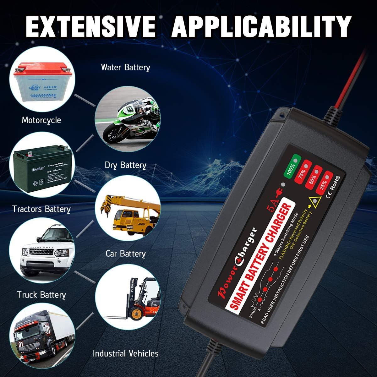 Cargador de Batería BMK 12V 5A Portátil con Clips